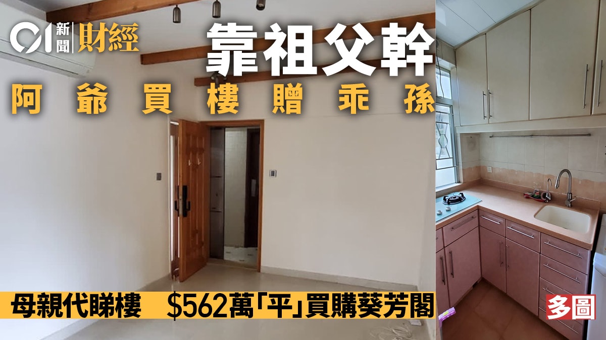 靠祖父幹!母親代睇樓 阿爺出手擲562萬購葵芳閣贈孫兒|多相 靠祖父幹!母親代睇樓 阿爺出手擲562萬購葵芳閣贈孫兒|多相