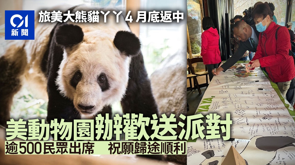 旅美大熊貓丫丫「告別派對」舉行 500民眾歡送留書離情依依 旅美大熊貓丫丫「告別派對」舉行 500民眾歡送留書離情依依