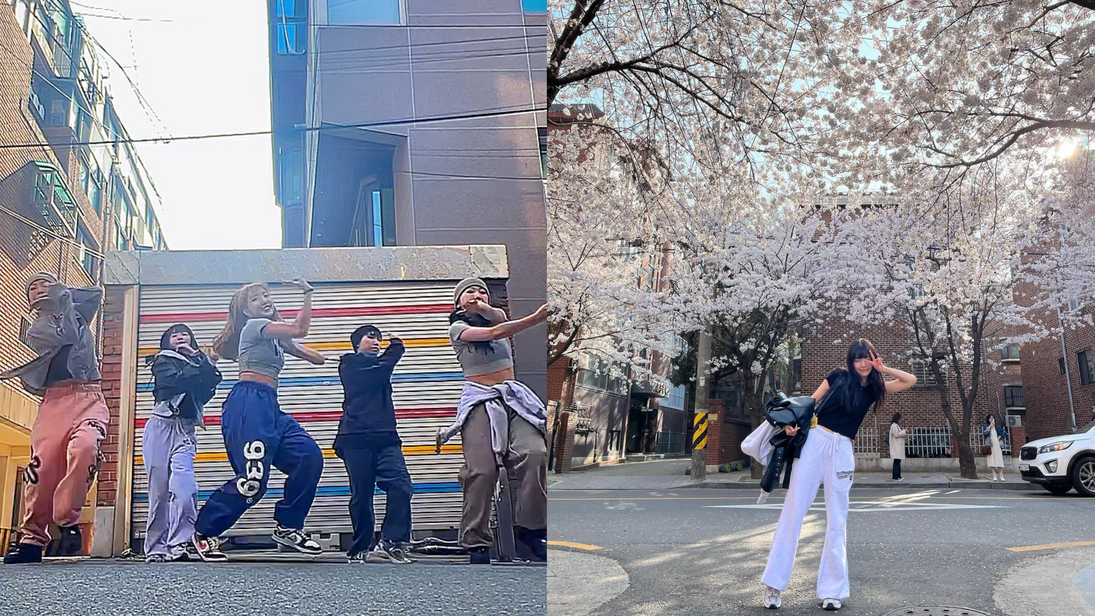 So Ching與戰友遊韓散心賞櫻花 回復舊日狀態街頭跳舞勁開心