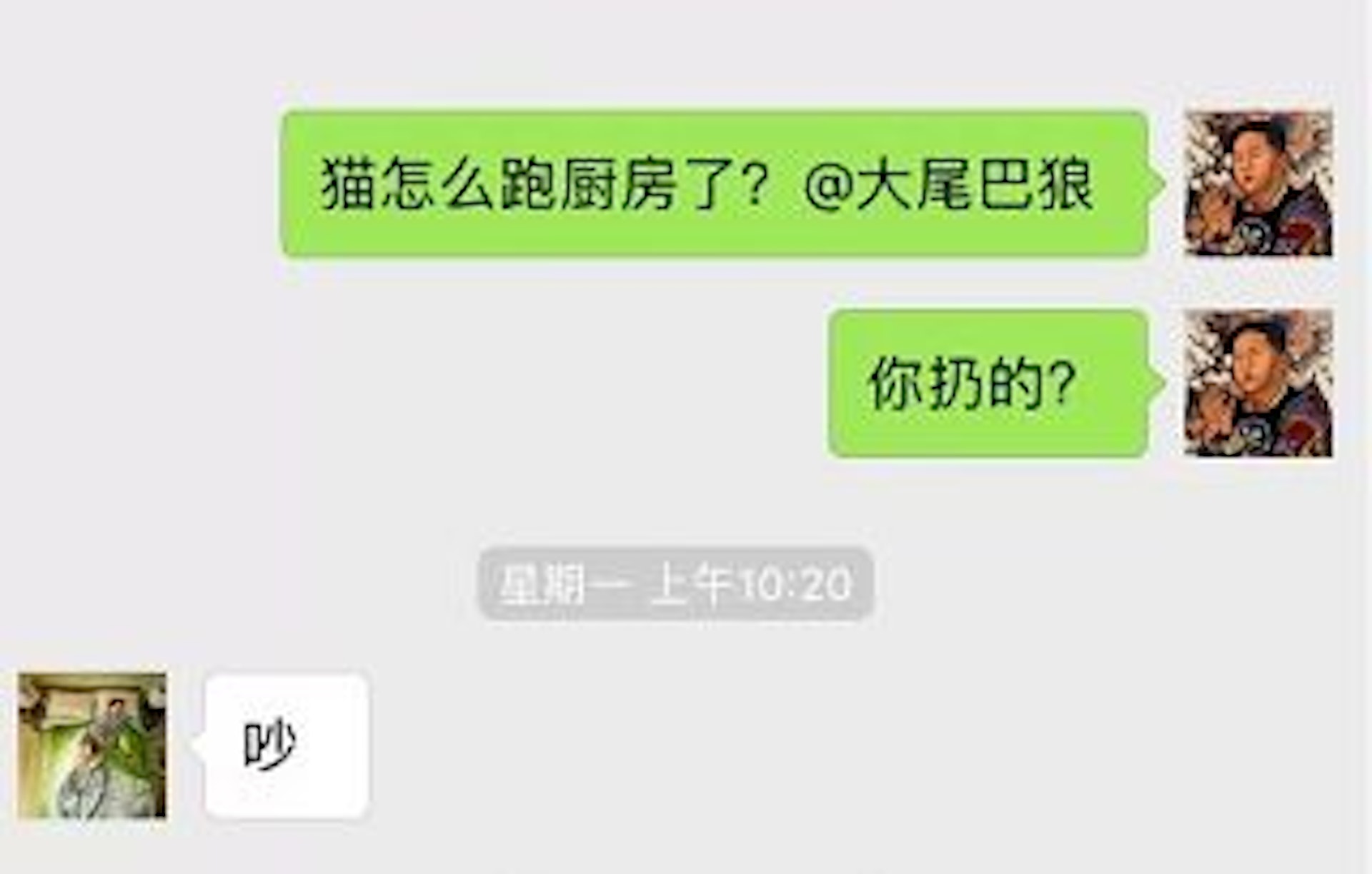 (波奇網提供) (波奇網提供)