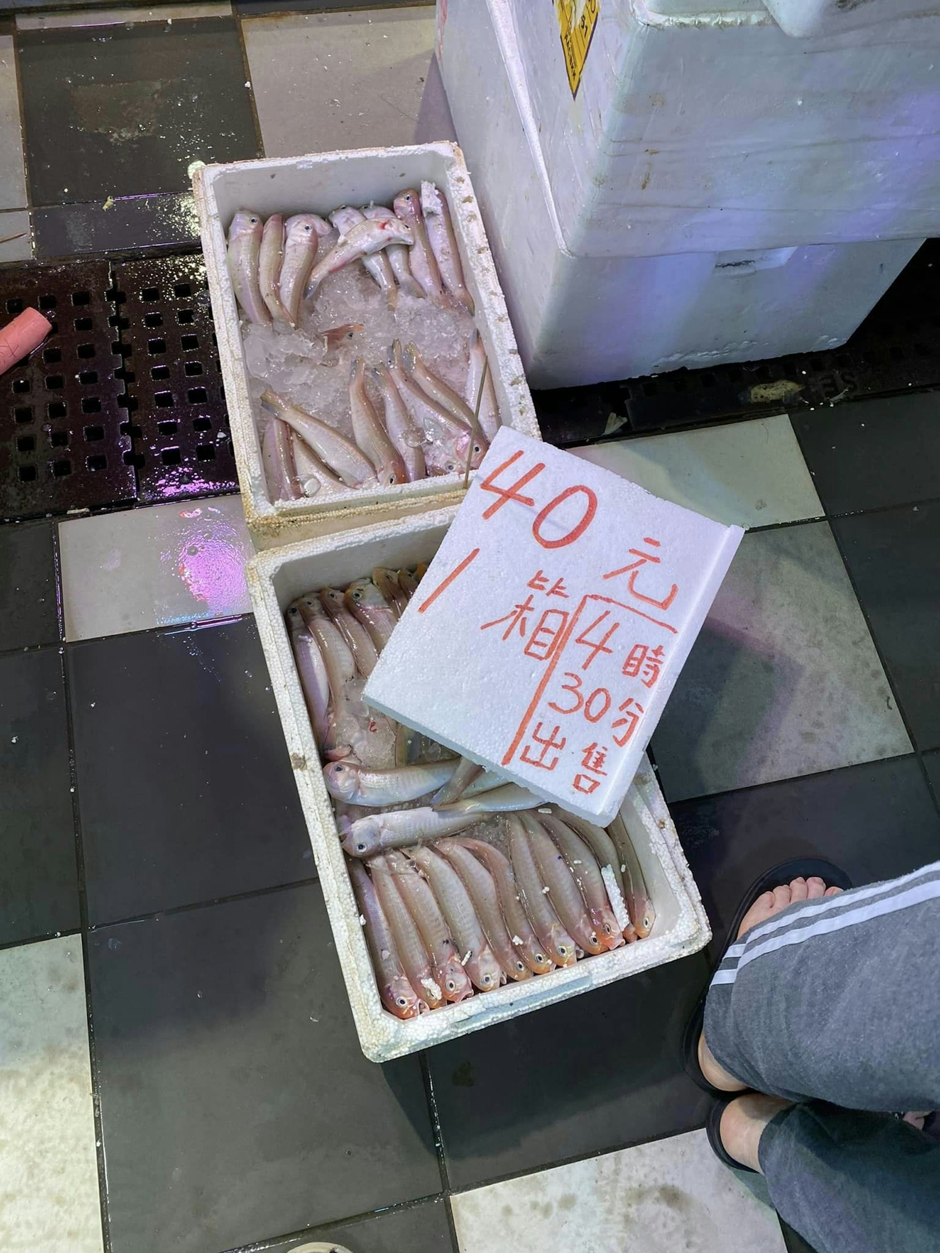有網民在順利邨街市買到40元1箱的青根魚。(fb群組「香港街市魚類海鮮研究社」圖片) 有網民在順利邨街市買到40元1箱的青根魚。(fb群組「香港街市魚類海鮮研究社」圖片)