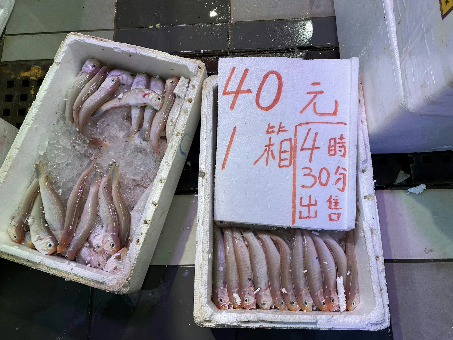 有網民在順利邨街市買到40元1箱的青根魚。(fb群組「香港街市魚類海鮮研究社」圖片) 有網民在順利邨街市買到40元1箱的青根魚。(fb群組「香港街市魚類海鮮研究社」圖片)