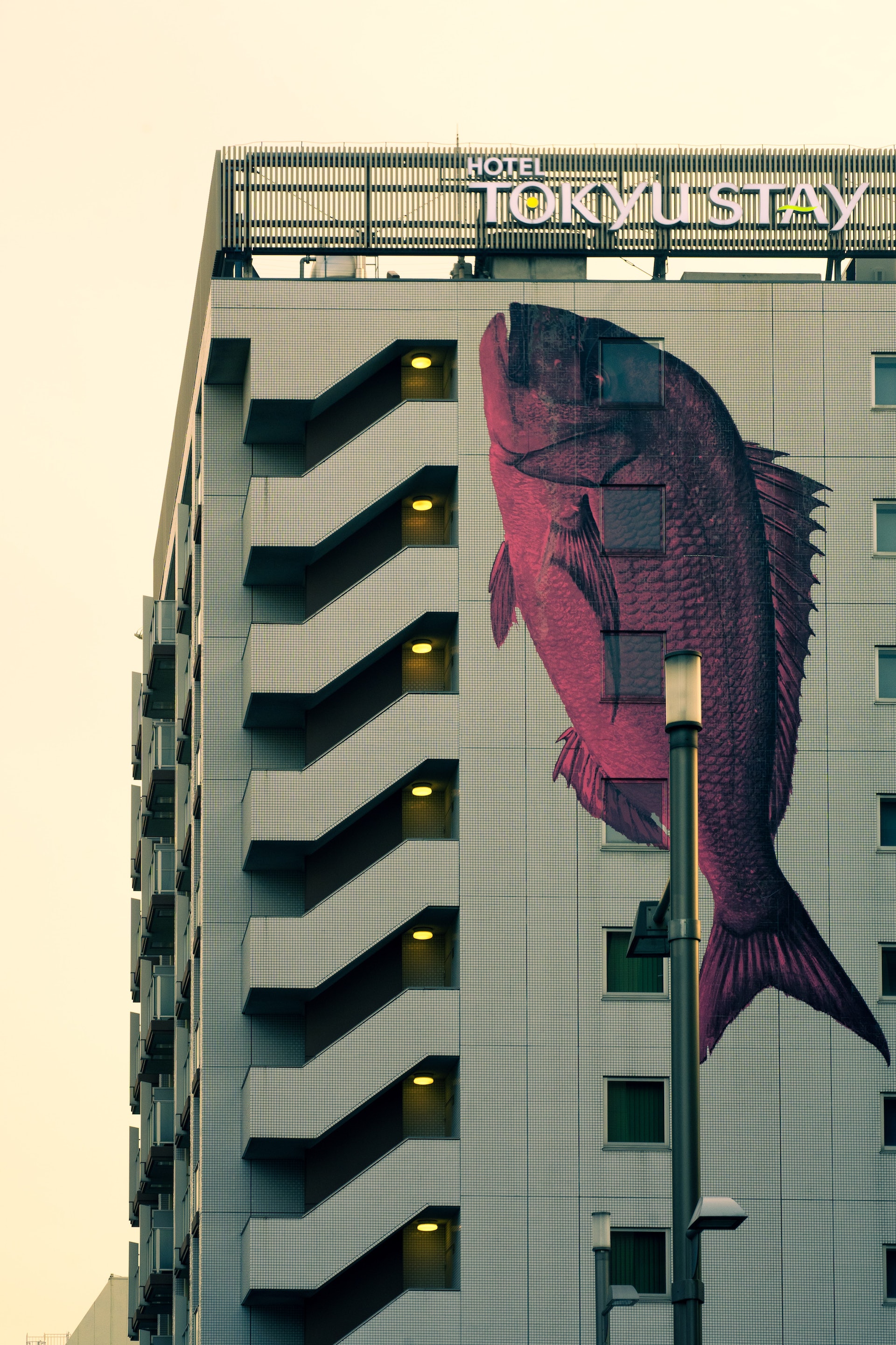 示意圖(ayumi-kubo/unsplash) 示意圖(ayumi-kubo/unsplash)