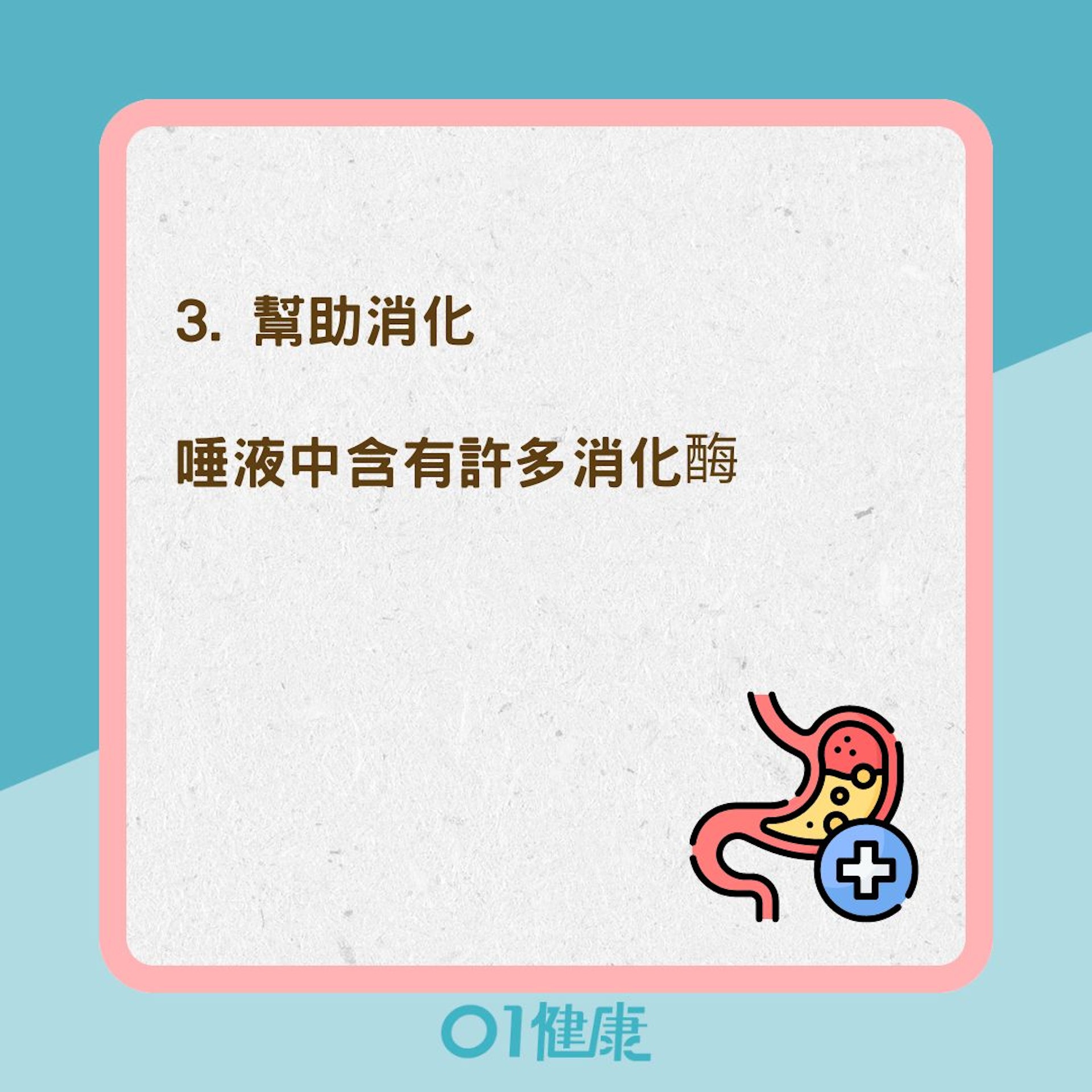 唾液4大功能(01製圖) 唾液4大功能(01製圖)