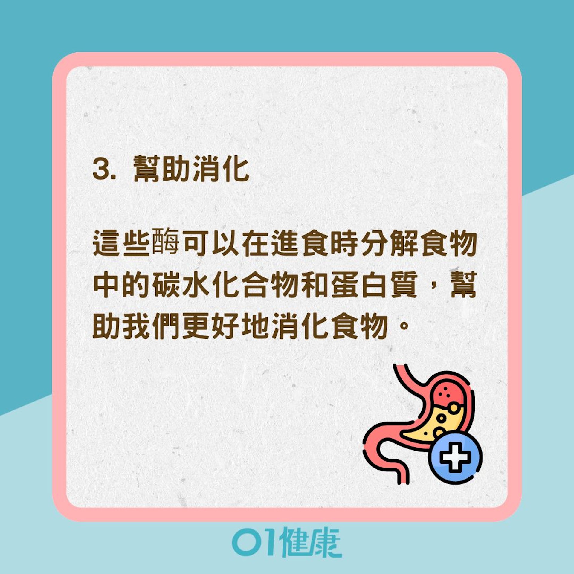 唾液4大功能(01製圖) 唾液4大功能(01製圖)