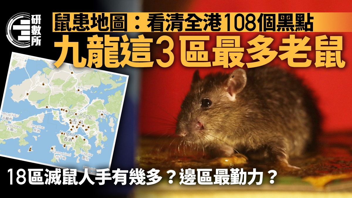 鼠患地圖|即睇你附近鼠患黑點!盤點18區滅鼠工作 邊區最勤力? 鼠患地圖|即睇你附近鼠患黑點!盤點18區滅鼠工作 邊區最勤力?