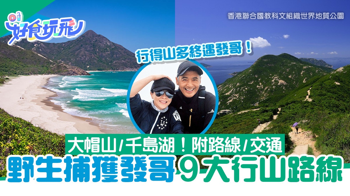 發哥行山路線 | 9條野生捕獲發哥路線!大帽山、千島湖、大浪西灣 發哥行山路線 | 9條野生捕獲發哥路線!大帽山、千島湖、大浪西灣