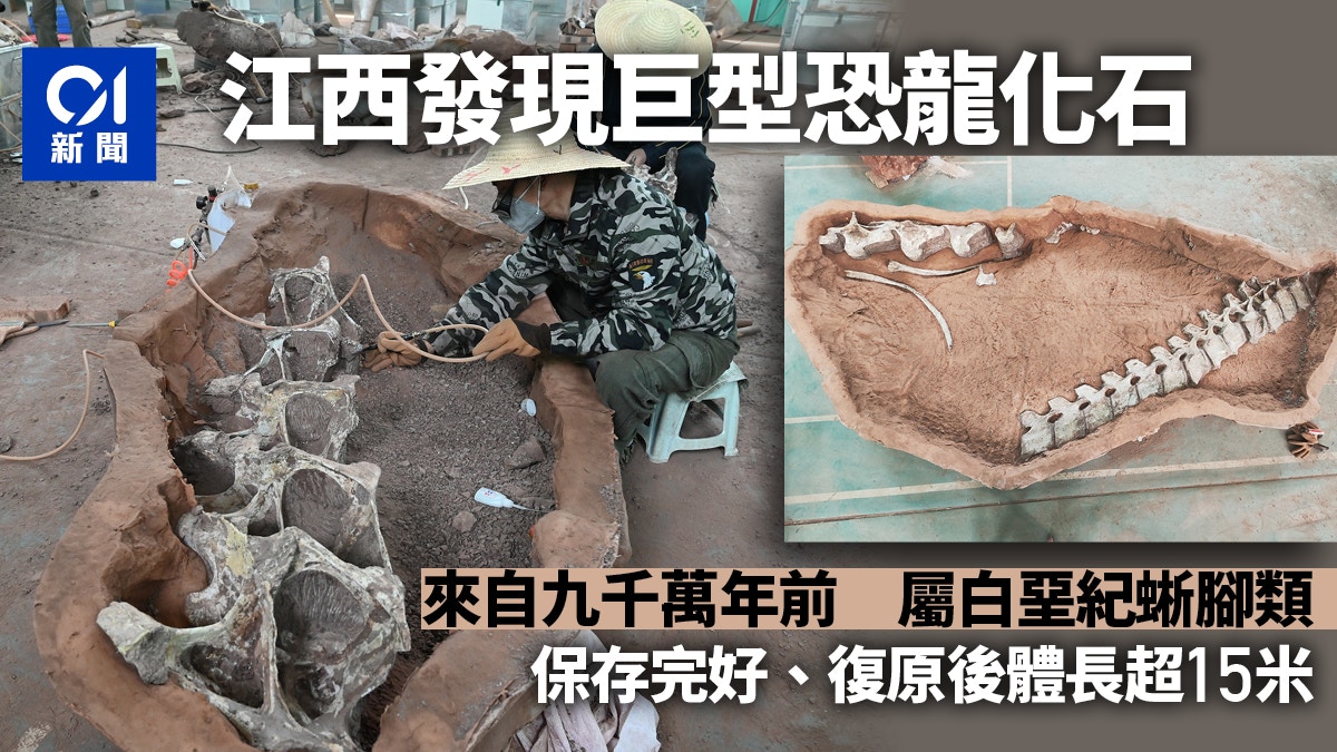 江西首次發現完整保存9千萬年前巨型恐龍化石　復原後體長超15米