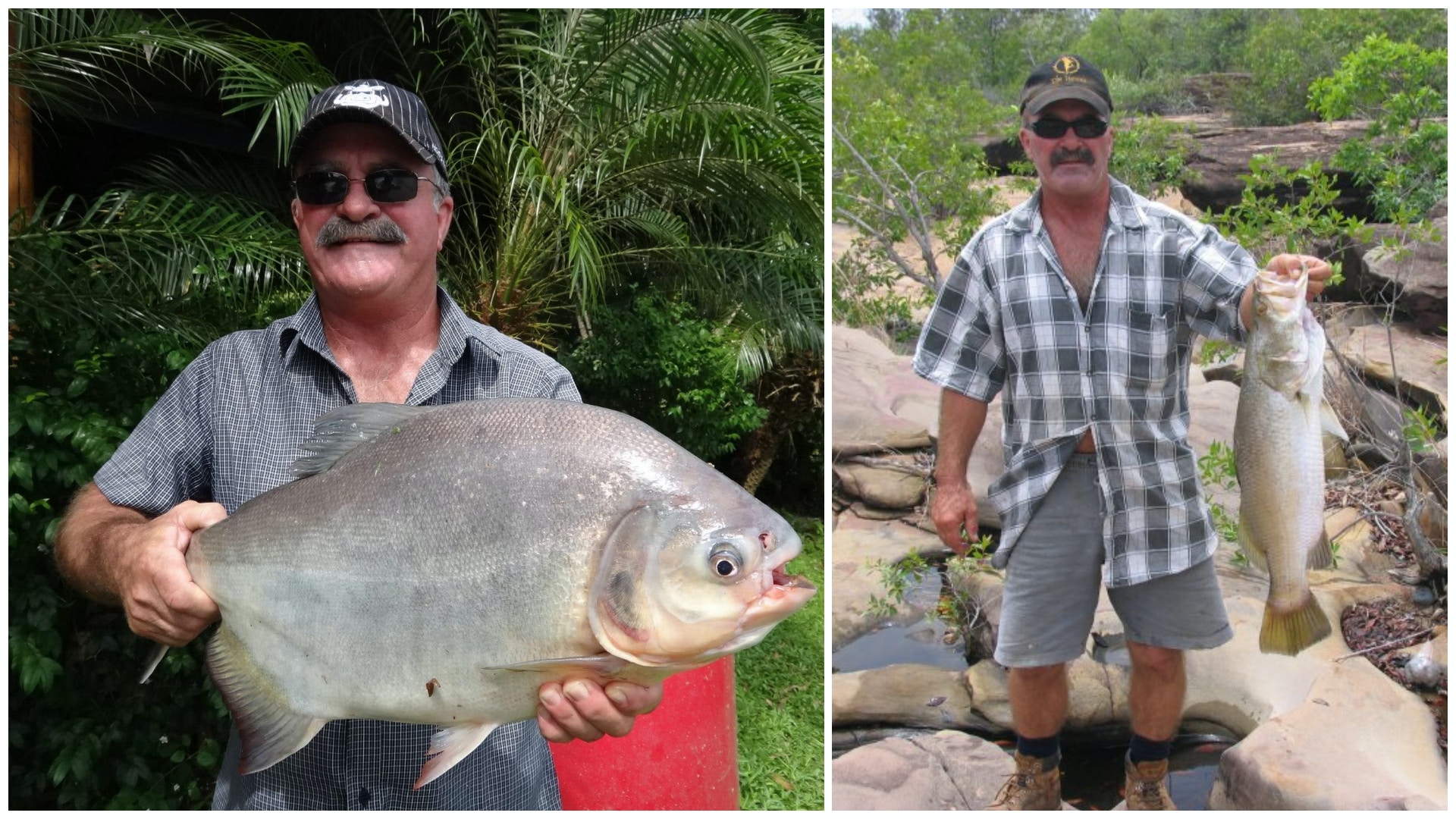澳洲65歲漢釣魚失蹤　鱷魚體內發現疑似殘骸