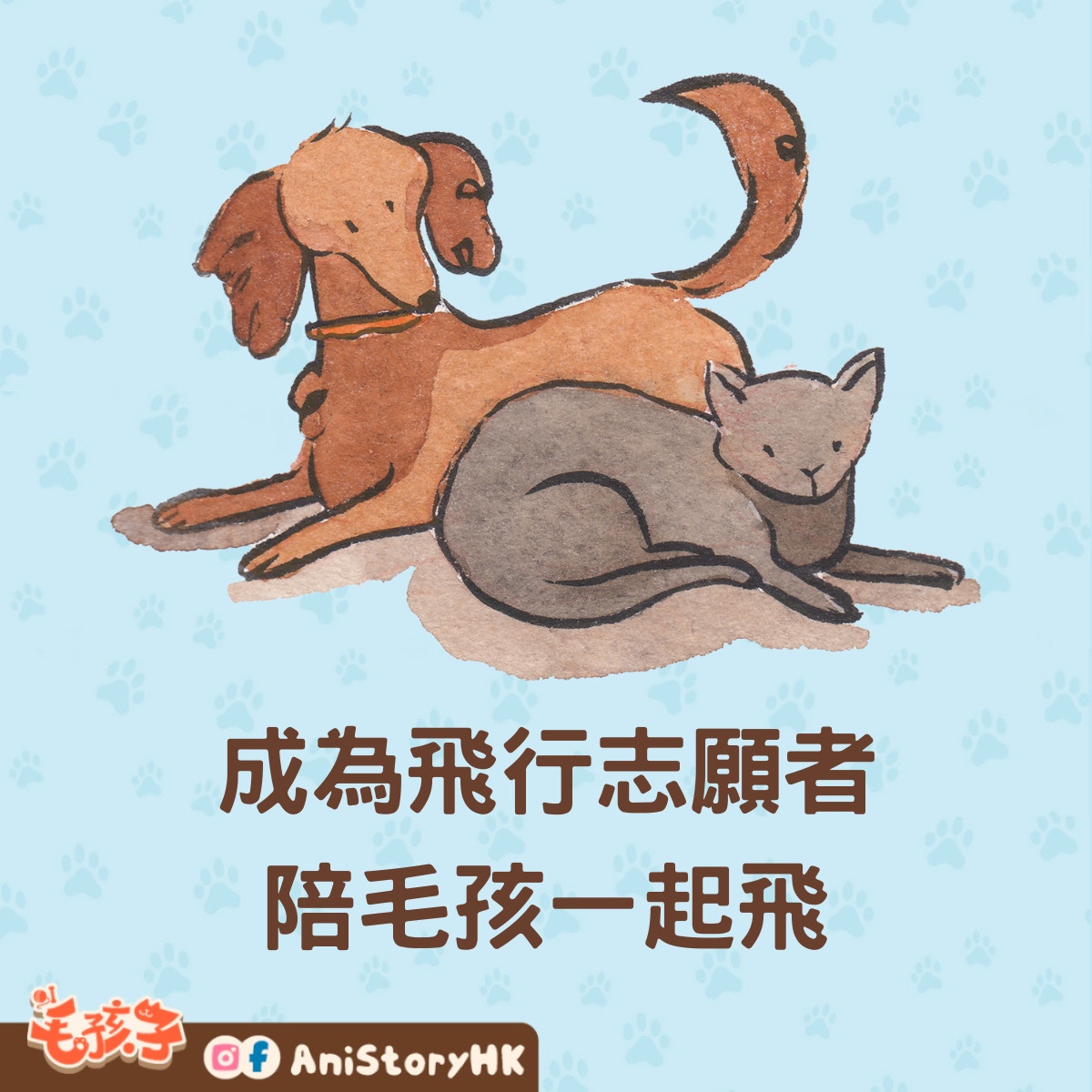 飛行志願者，給每個終結流浪的故事，畫下圓滿句號。（01製圖）