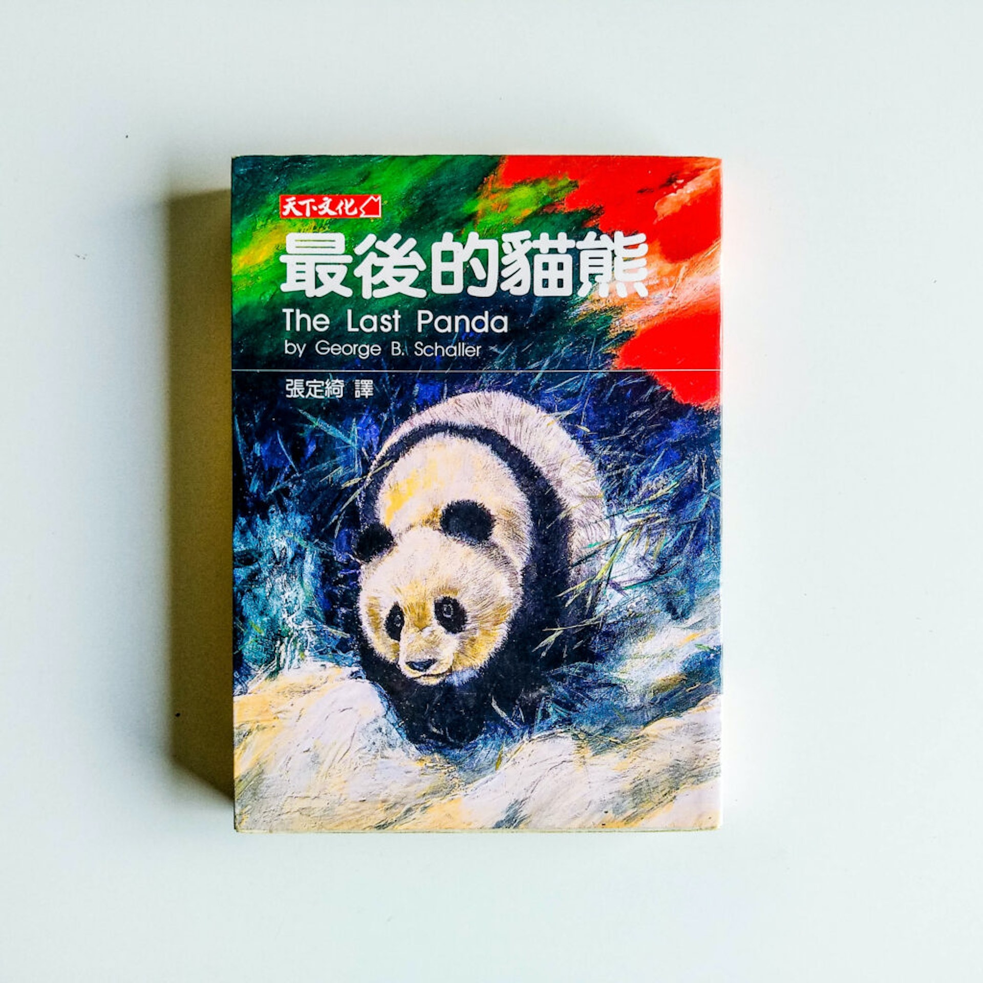 《最後的貓熊》封面(網絡圖片) 《最後的貓熊》封面(網絡圖片)