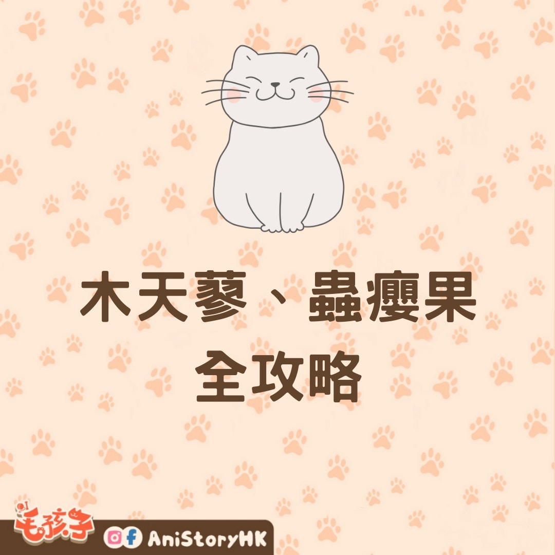 木天蓼、蟲癭果全攻略（01製圖）