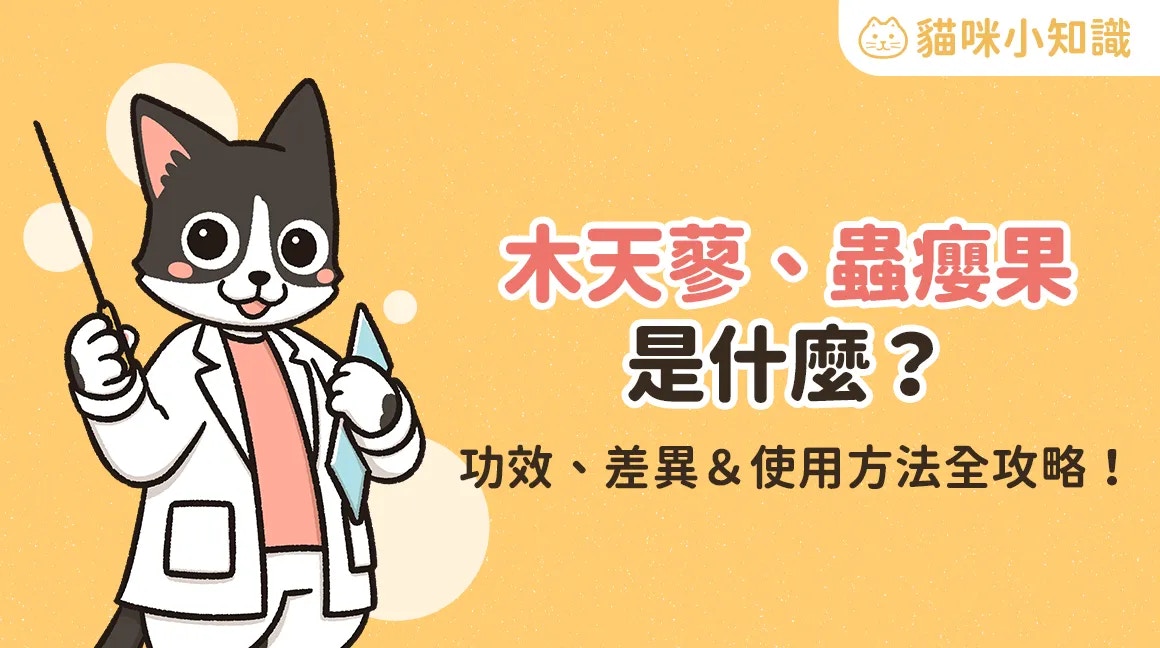 木天蓼、蟲癭果全攻略（汪喵星球授權使用）