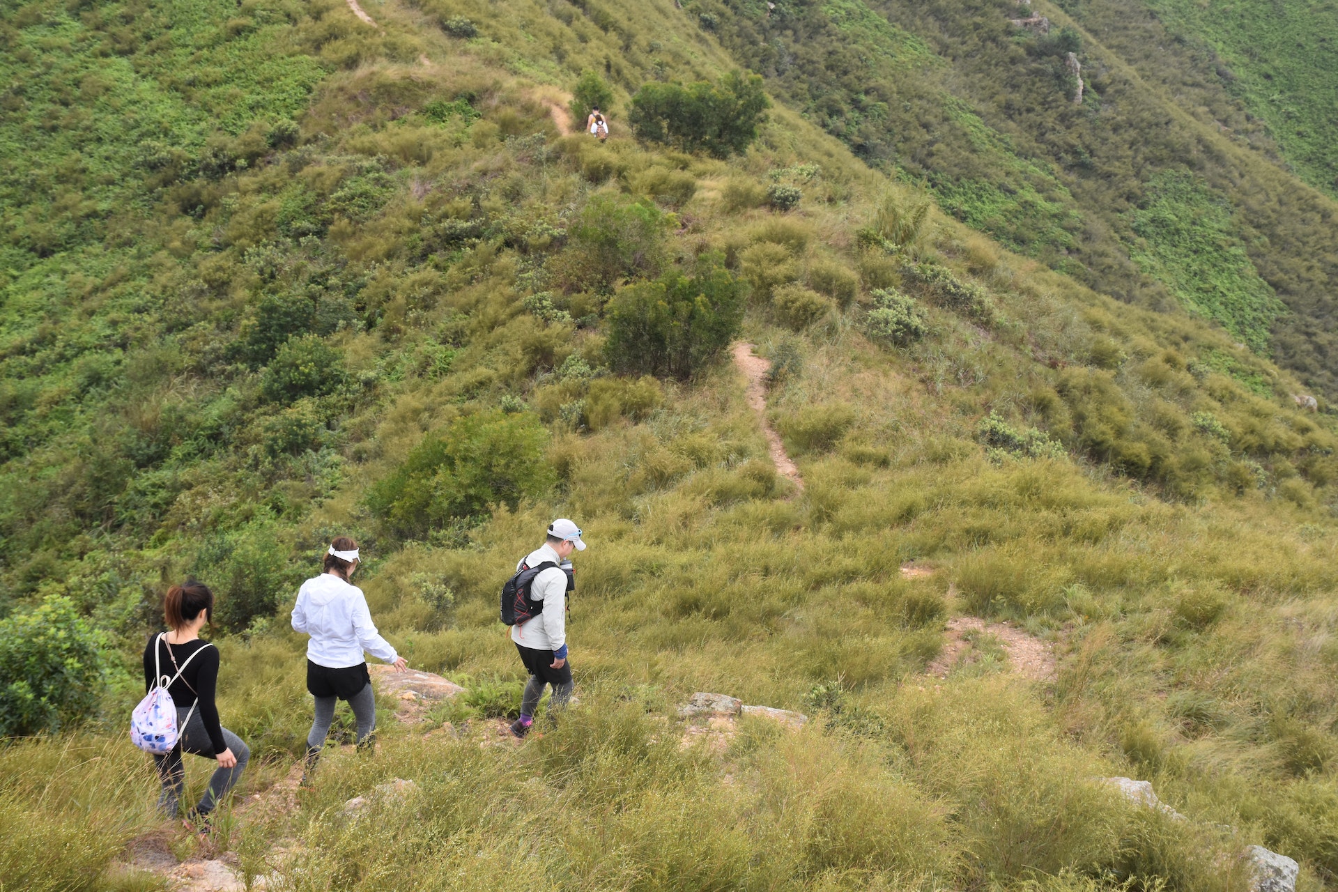 行山人士不用太擔心,蜂螫導致嚴重過敏很罕見,致死的更加少。(顏銘輝攝/資料圖片) 行山人士不用太擔心,蜂螫導致嚴重過敏很罕見,致死的更加少。(顏銘輝攝/資料圖片)