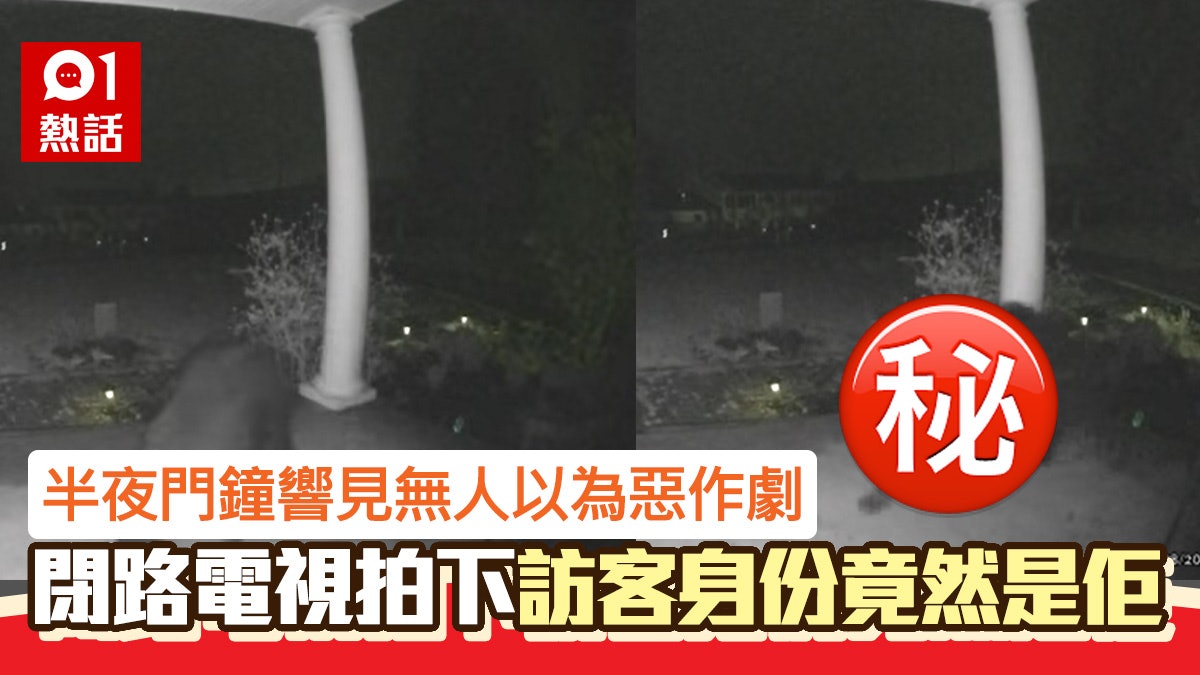 半夜門鈴響卻沒人以為惡作劇 看CCTV驚揭超狂訪客身份笑爆網民 半夜門鈴響卻沒人以為惡作劇 看CCTV驚揭超狂訪客身份笑爆網民