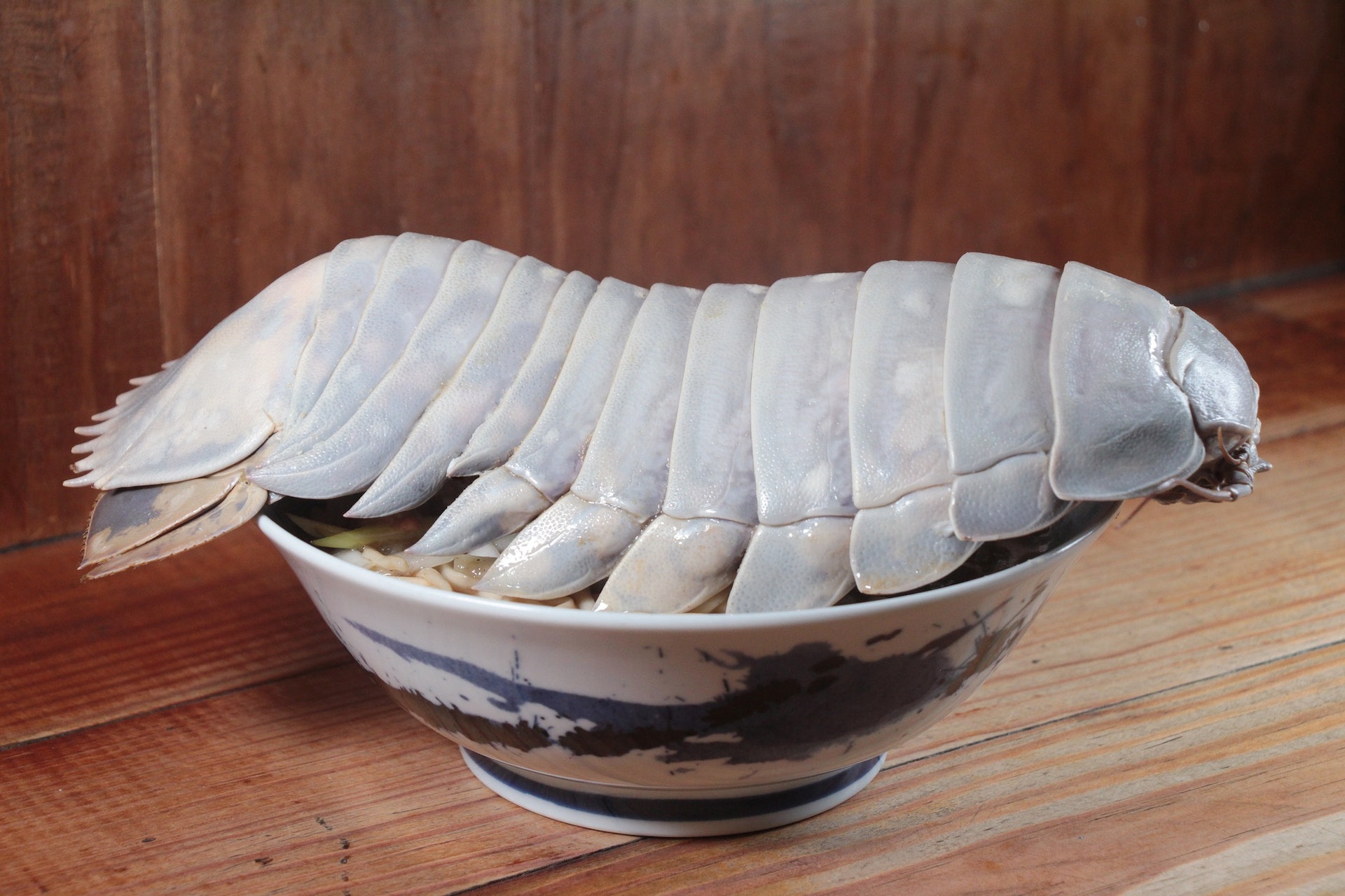 台灣「拉麵公子」推出的限定款拉麵，竟然是由「大王具足蟲」坐鎮的濃厚魚介雞白湯拉麵，僅限熟客預約，每碗售價1480元台幣。（拉麵公子Facebook）