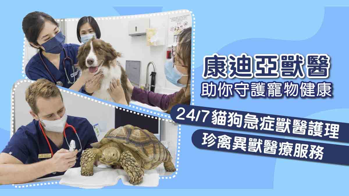 守護寵物健康｜康迪亞獸醫全年無休24/7急症 貓狗、珍禽獸醫專家