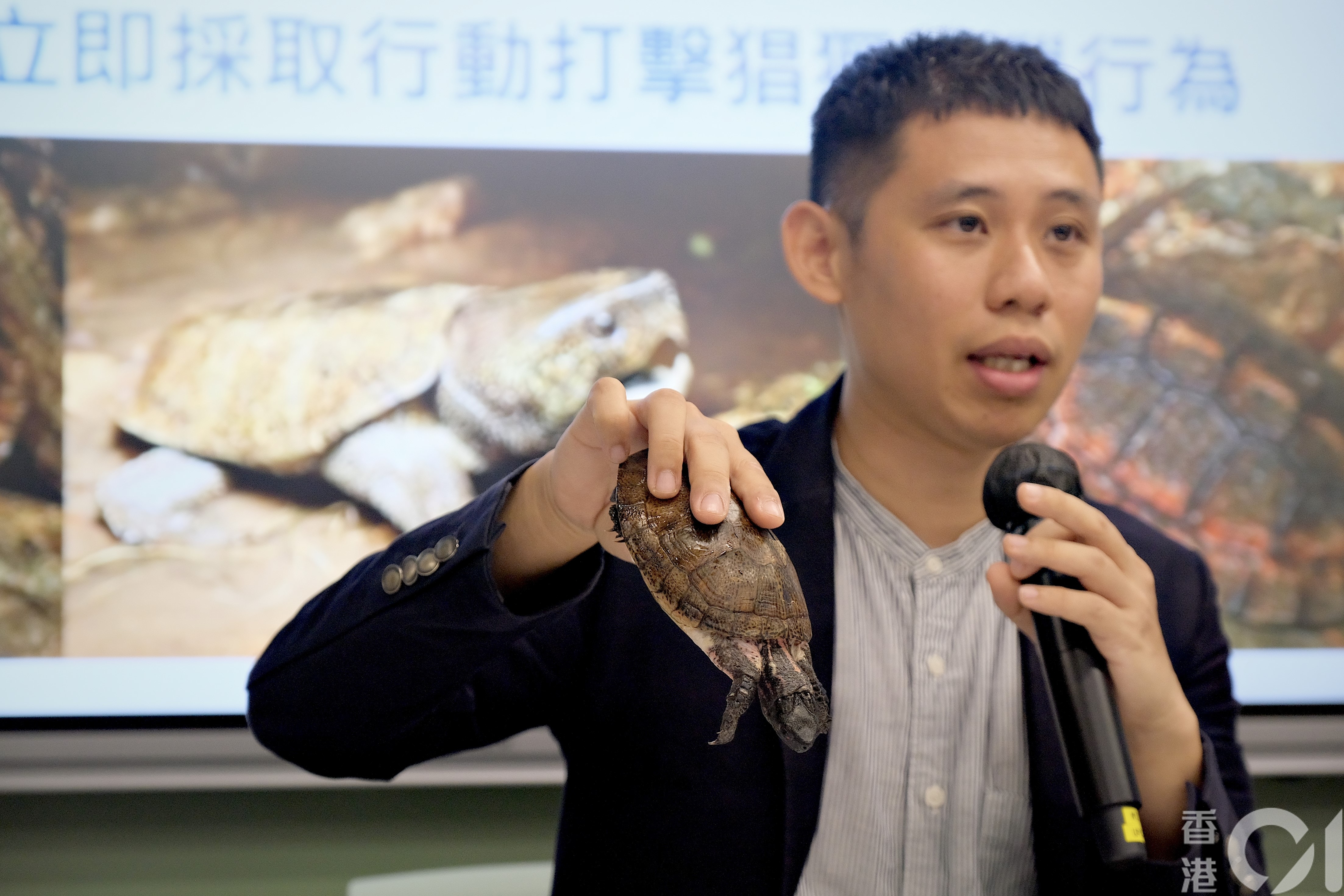 宋亦希估計現時香港野外的成年眼斑水龜不足一百隻。（歐嘉樂攝）