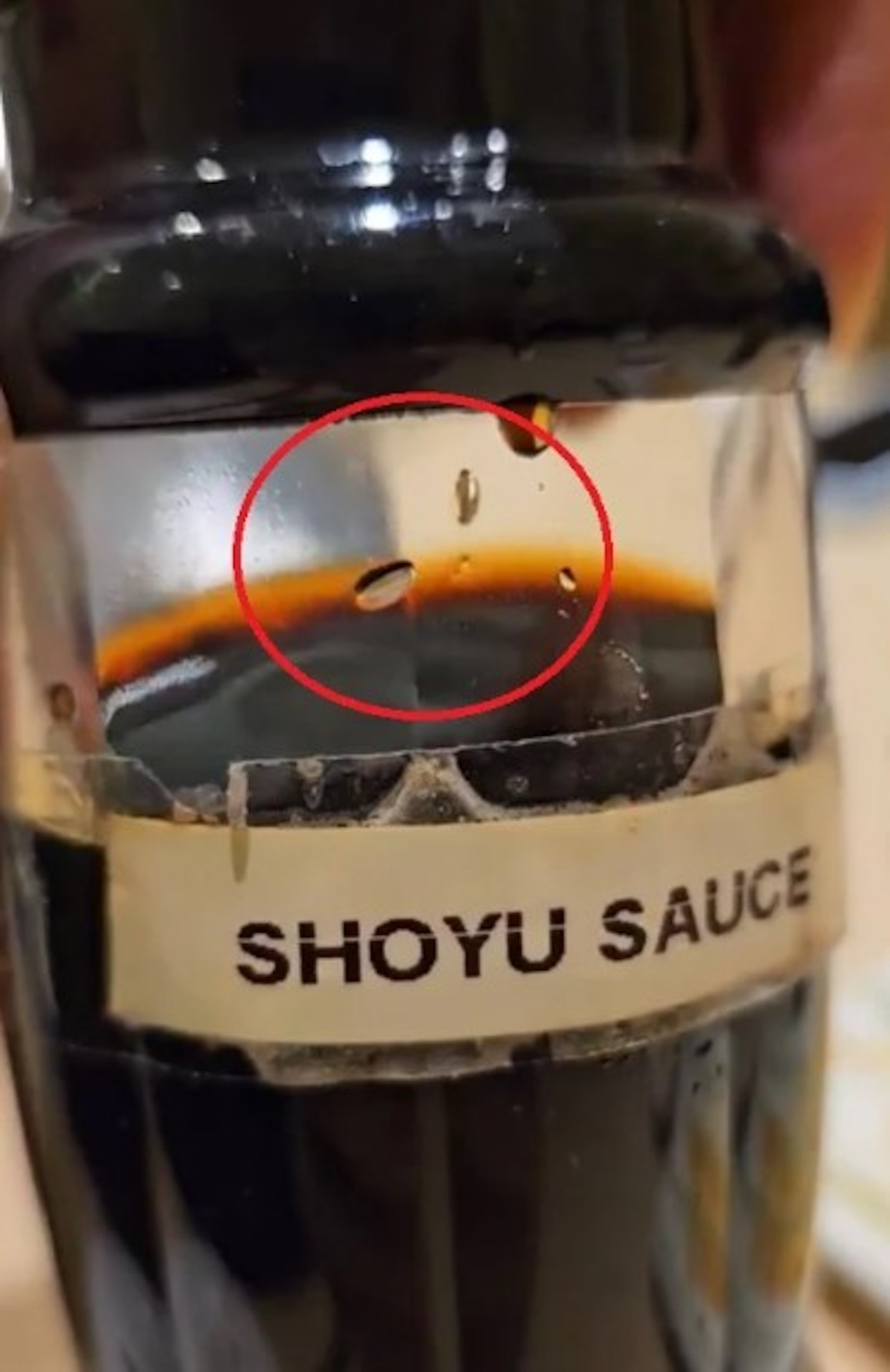 馬來西亞一名男子2023年5月20日在一間日本料理餐廳用餐，之後竟發現桌上醬油瓶內至少有兩條蛆蟲，他向店方反映卻被「冷處理」。圖為影片截圖，可見瓶內蛆蟲（Azrul Razak Facebook賬號）