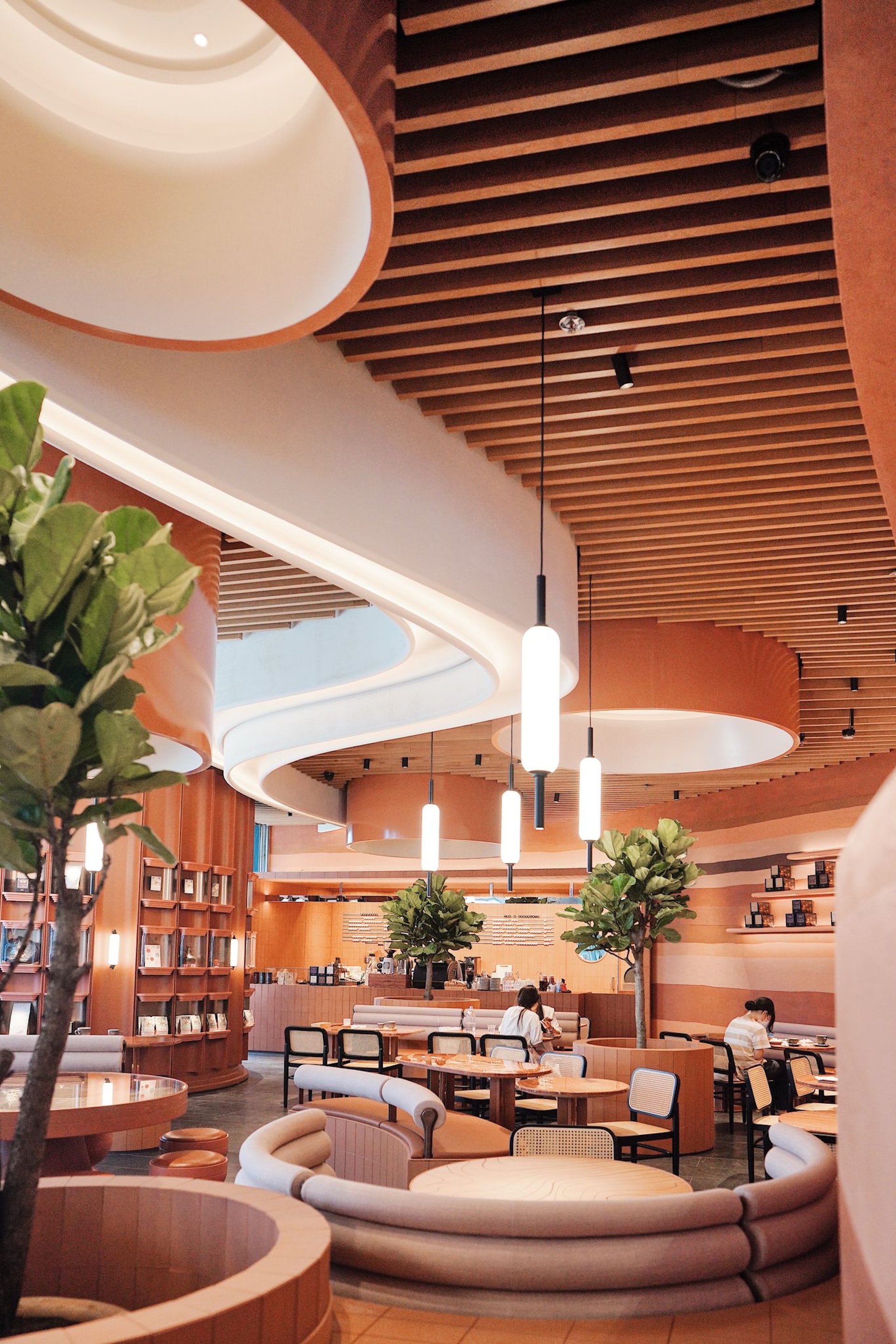 (圖片由記者提供) (圖片由記者提供)