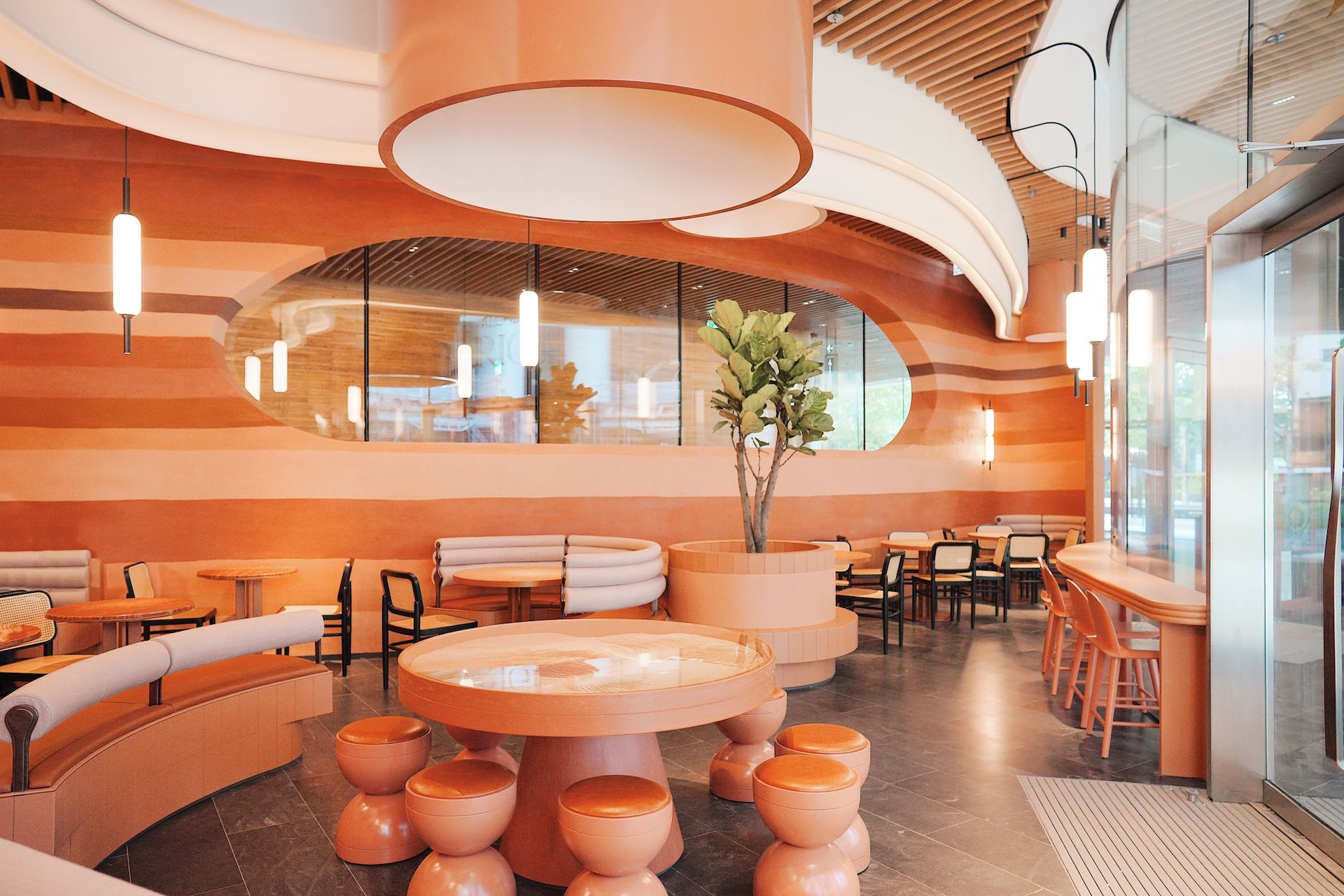 (圖片由記者提供) (圖片由記者提供)