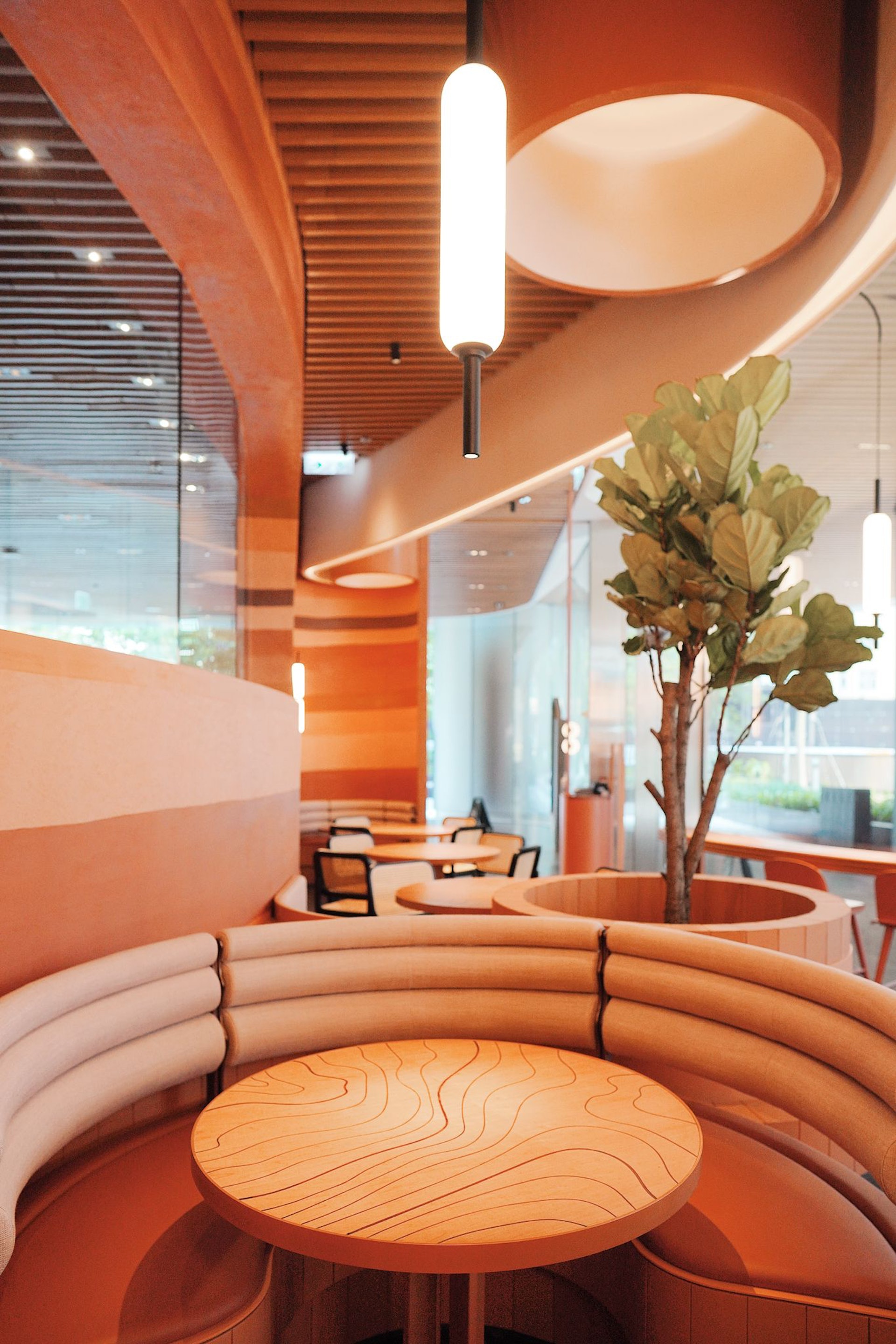 (圖片由記者提供) (圖片由記者提供)