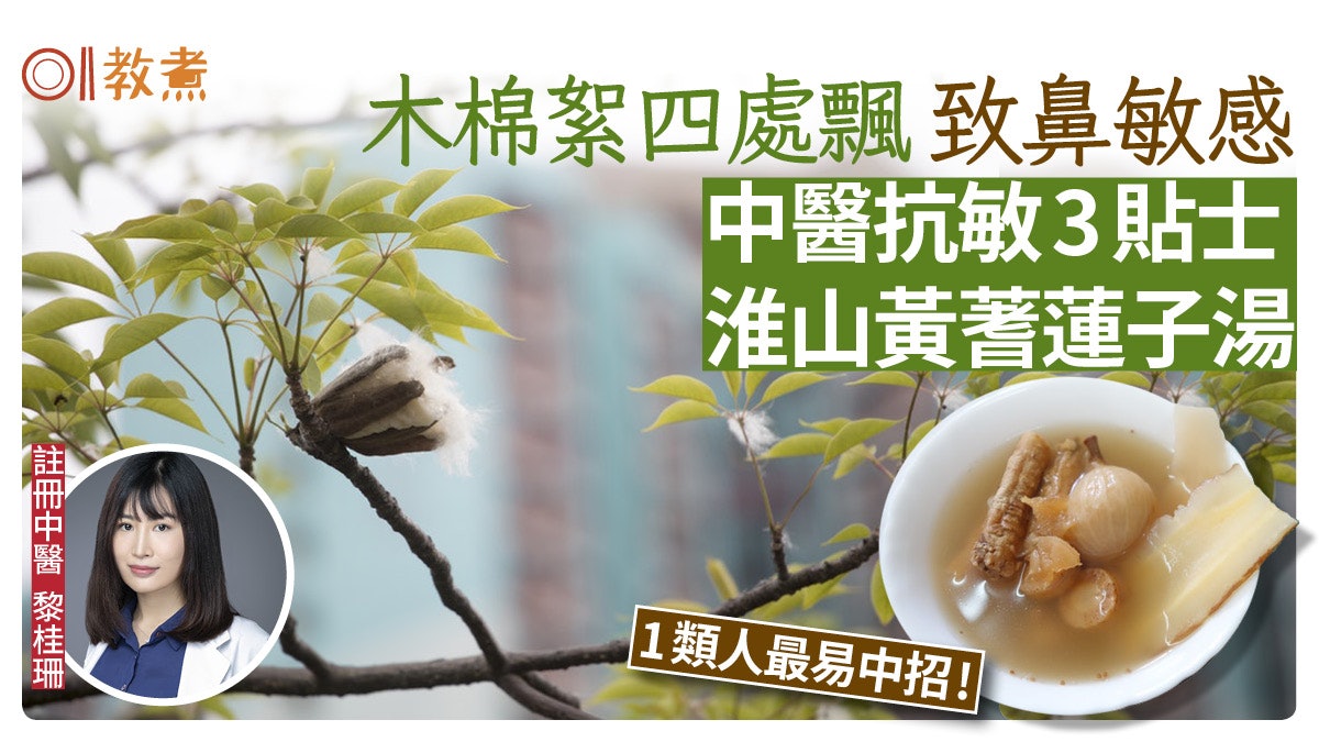 鼻敏感飲食|木棉絮致鼻敏感1類人易中招 中醫教抗敏3招湯水花茶 鼻敏感飲食|木棉絮致鼻敏感1類人易中招 中醫教抗敏3招湯水花茶