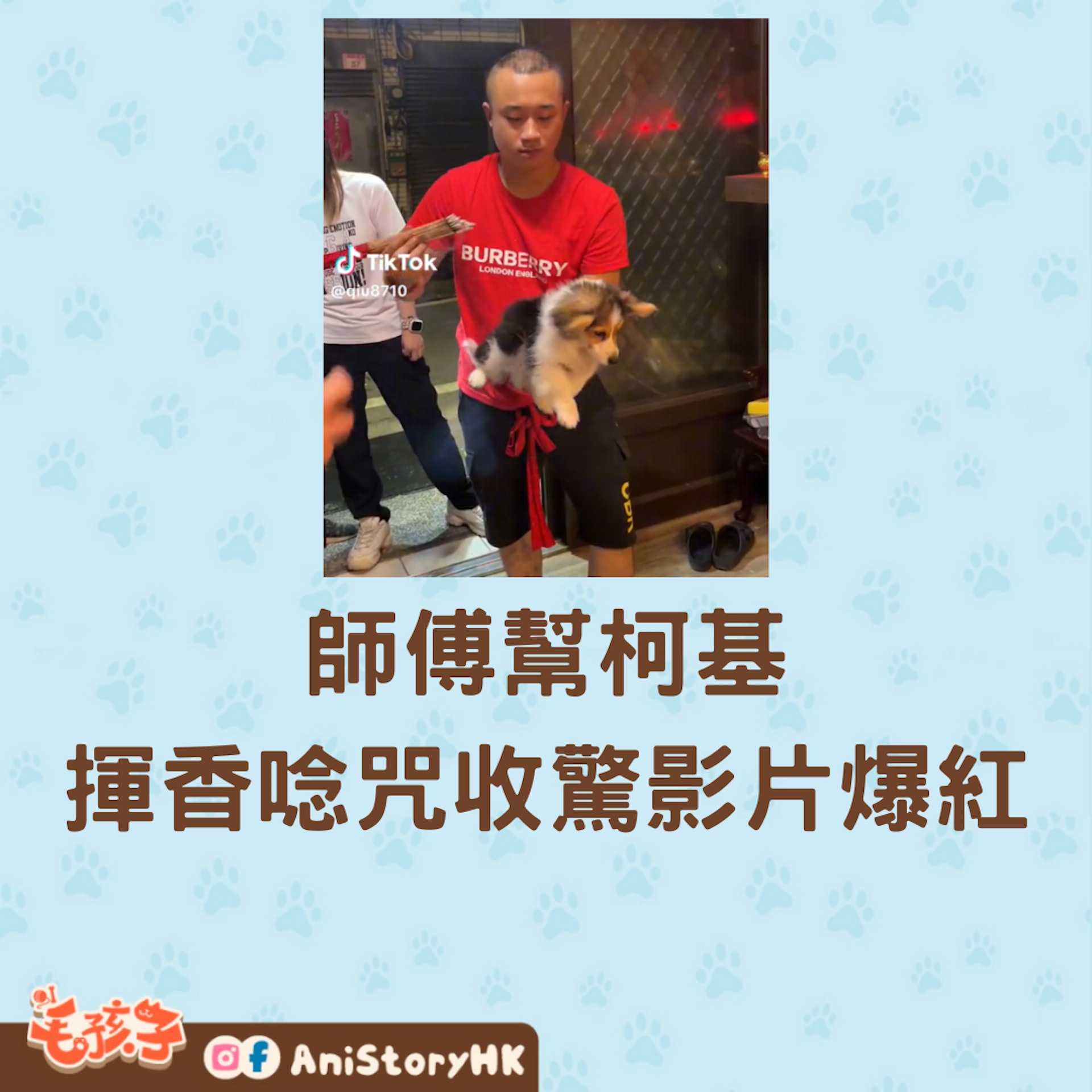 師傅幫柯基揮香唸咒收驚影片爆紅(01製圖,TikTok@qiu8710) 師傅幫柯基揮香唸咒收驚影片爆紅(01製圖,TikTok@qiu8710)