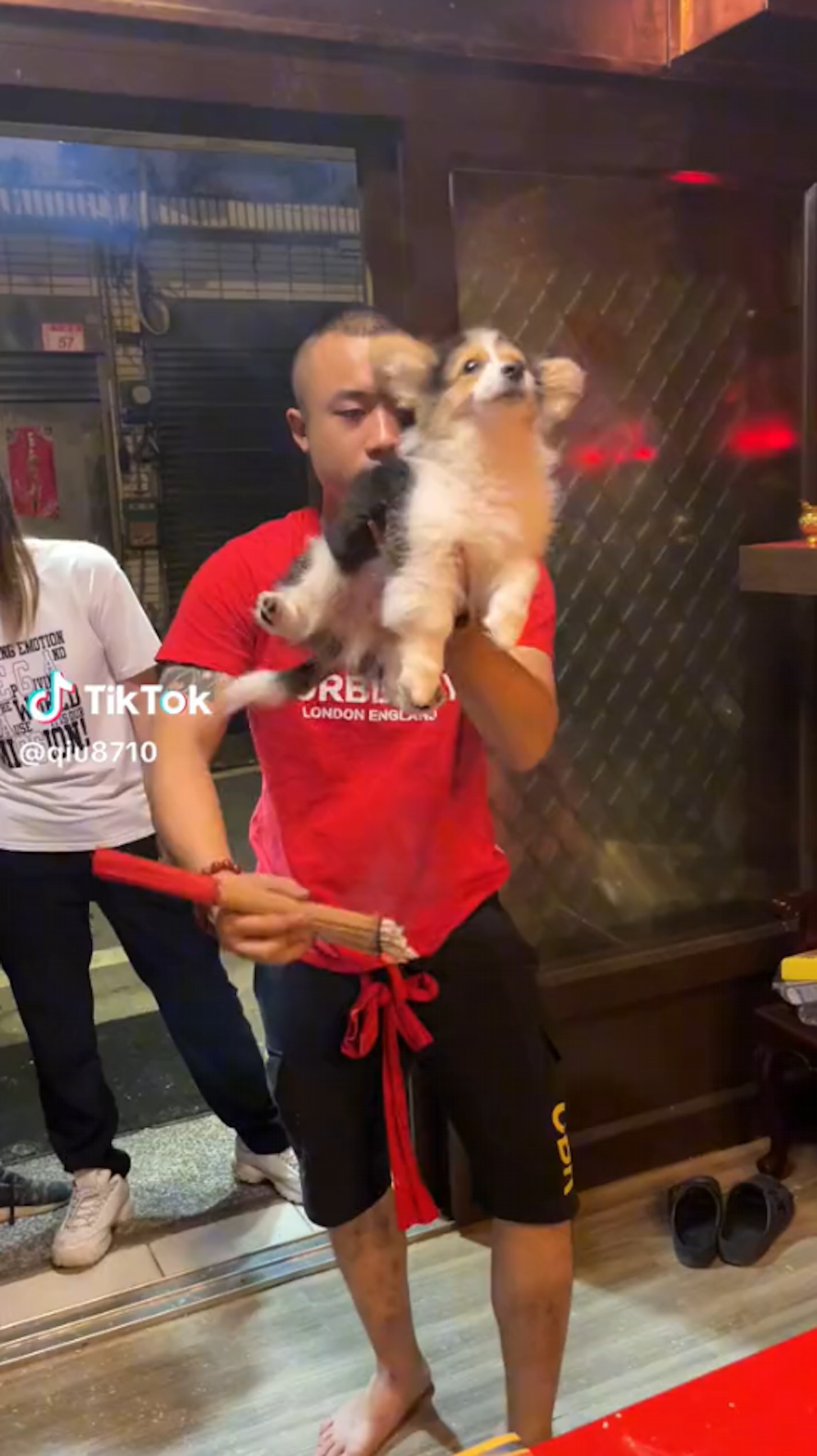 只見影片中,師父一手捧著小柯基,另一收抓著一把香,對著柯基的頭上寫字畫符,過程中也不斷念出收驚的咒語,表情相當嚴肅認真(TikTok@qiu8710) 只見影片中,師父一手捧著小柯基,另一收抓著一把香,對著柯基的頭上寫字畫符,過程中也不斷念出收驚的咒語,表情相當嚴肅認真(TikTok@qiu8710)