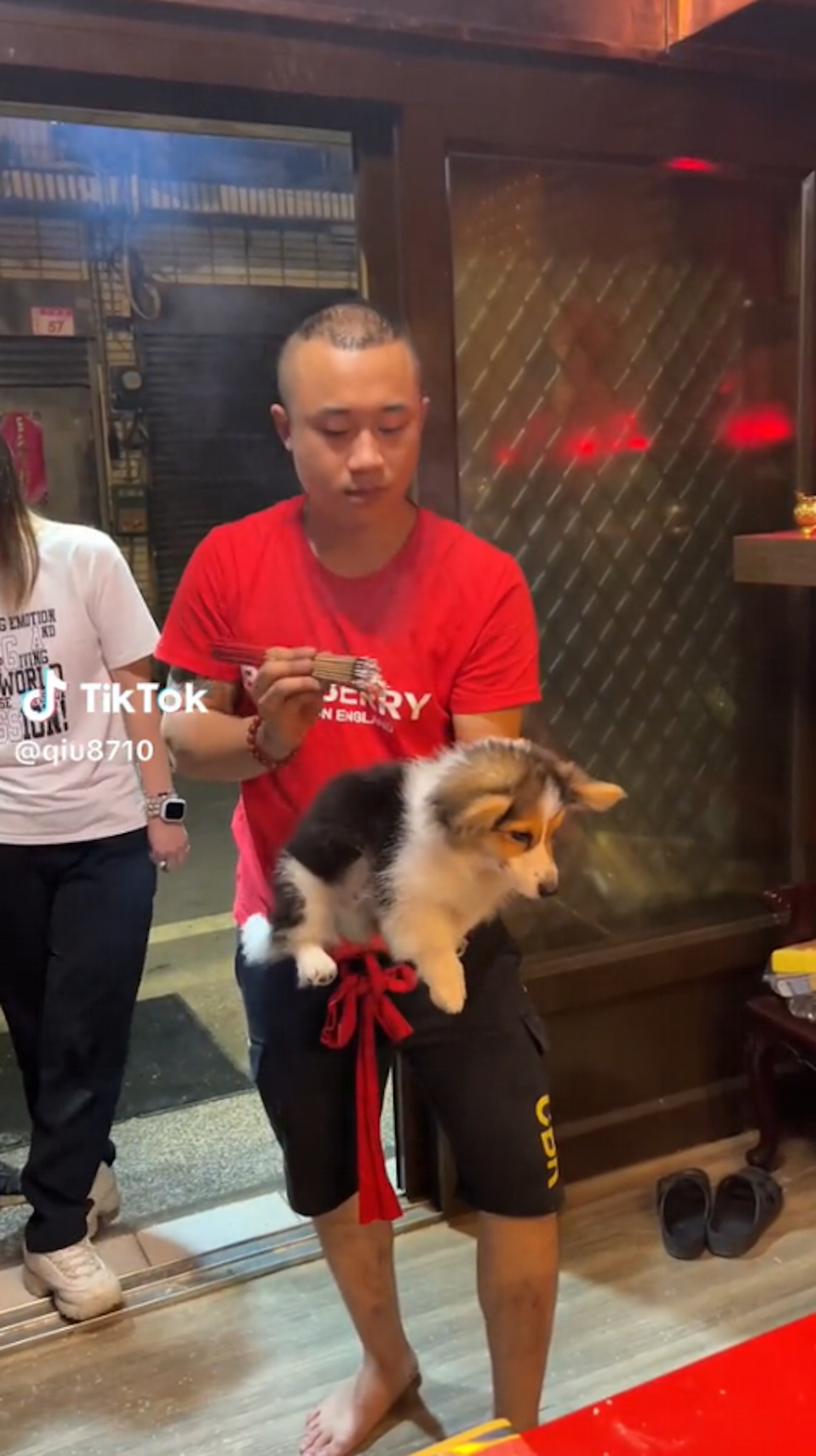 這隻超療癒的收驚柯基,也讓許多國外網友初步認識台灣的收驚文化,紛紛驚嘆表示,「這麼乖是因為有神明加持嗎」、「汪:偶是誰?偶在哪?」「牠也太乖了吧!超級可愛的」、「第一次看到狗狗收驚」、「汪:放過我~」「如果帶去的是哈士奇會變怎樣?」(TikTok@qiu8710) 這隻超療癒的收驚柯基,也讓許多國外網友初步認識台灣的收驚文化,紛紛驚嘆表示,「這麼乖是因為有神明加持嗎」、「汪:偶是誰?偶在哪?」「牠也太乖了吧!超級可愛的」、「第一次看到狗狗收驚」、「汪:放過我~」「如果帶去的是哈士奇會變怎樣?」(TikTok@qiu8710)