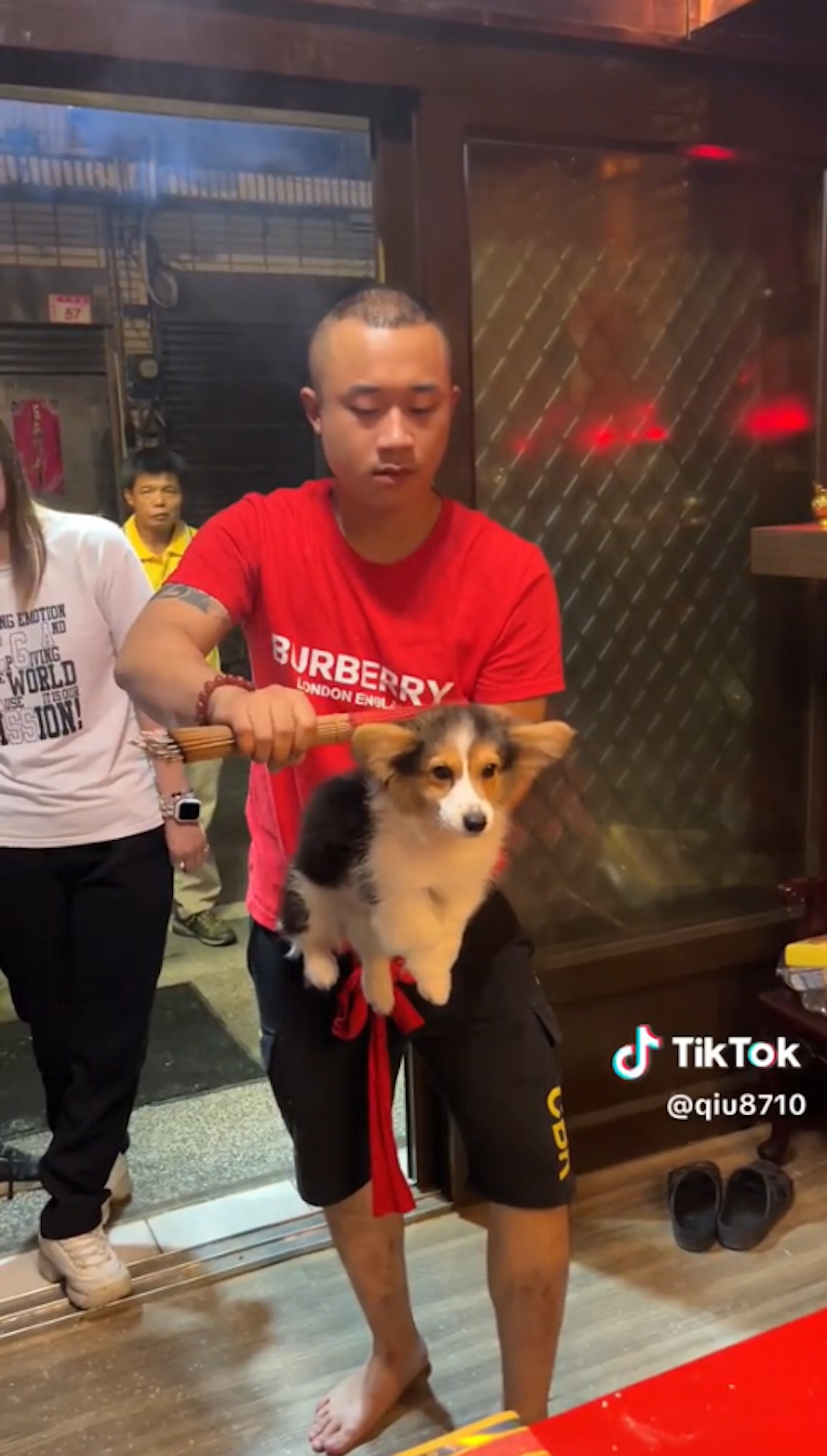 汪:把拔太迷信了(TikTok@qiu8710) 汪:把拔太迷信了(TikTok@qiu8710)