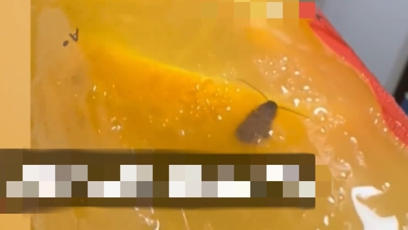 網民訴未開封飲品出現蟑螂 商家:不可能 上月剛進行全面消殺 網民訴未開封飲品出現蟑螂 商家:不可能 上月剛進行全面消殺