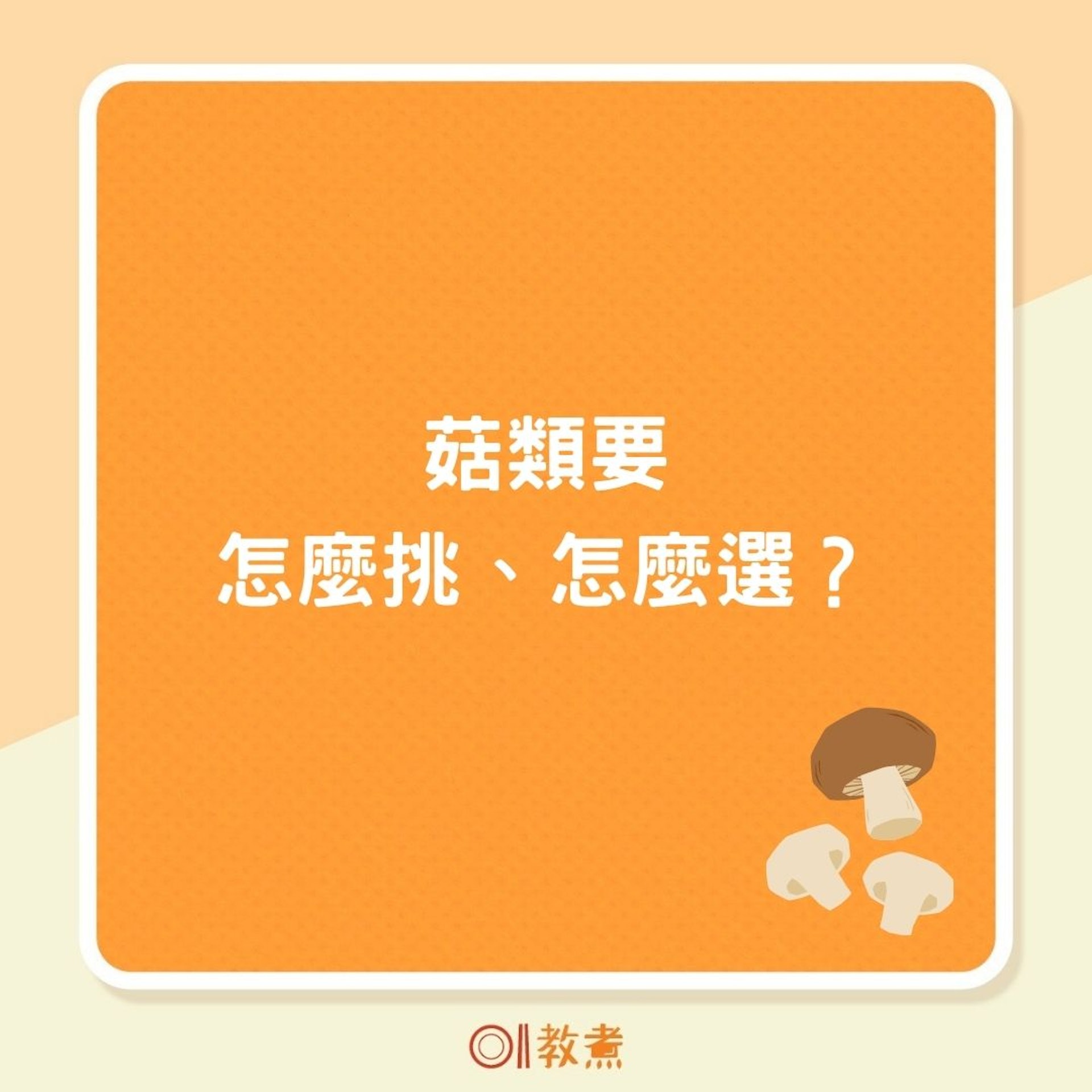 菇類要怎麼挑、怎麼選?(01製圖) 菇類要怎麼挑、怎麼選?(01製圖)