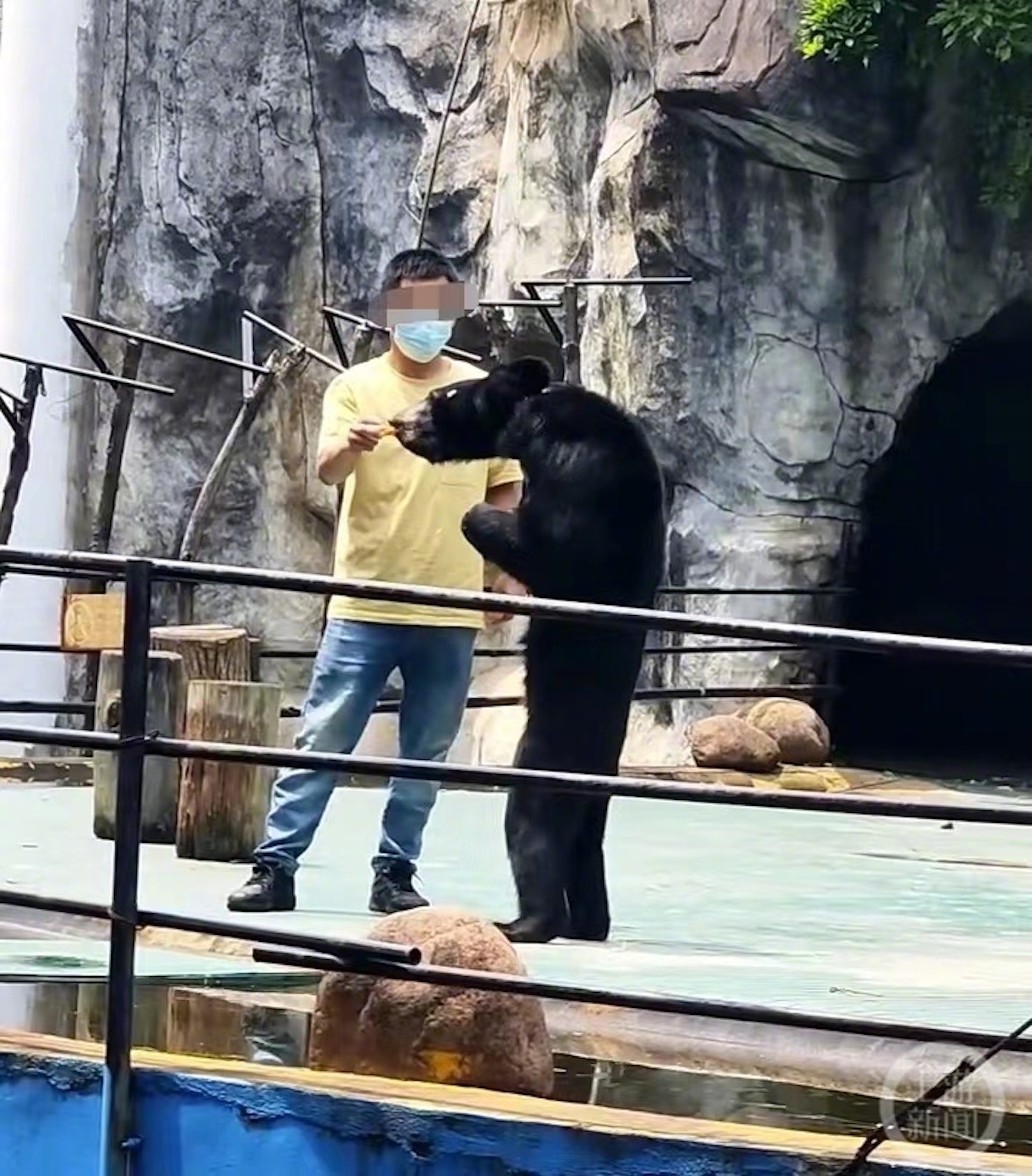 南昌動物園有黑熊骨瘦如柴。(上游新聞) 南昌動物園有黑熊骨瘦如柴。(上游新聞)