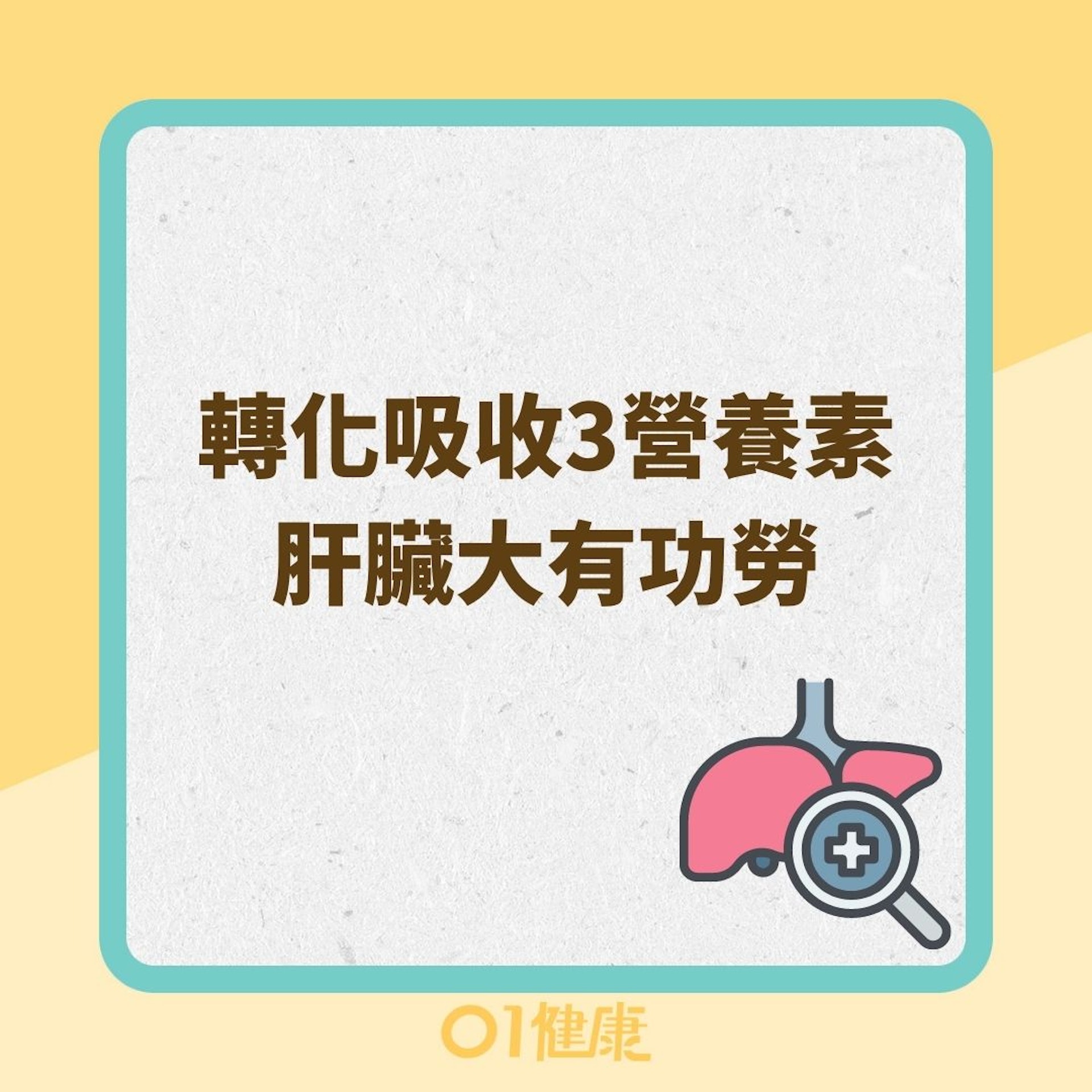 轉化吸收3營養素肝臟大有功勞(01製圖) 轉化吸收3營養素肝臟大有功勞(01製圖)