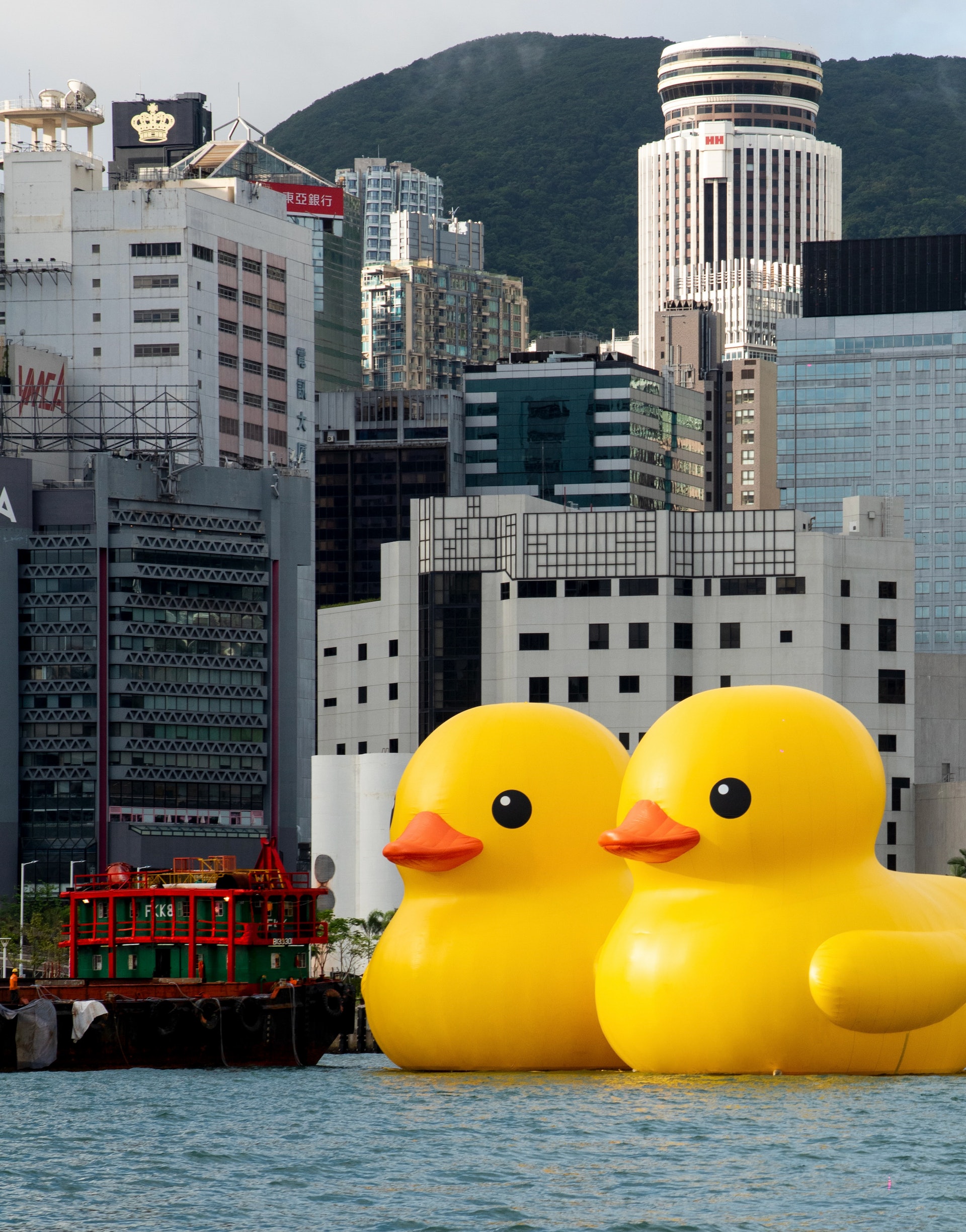 (大會提供) (大會提供)