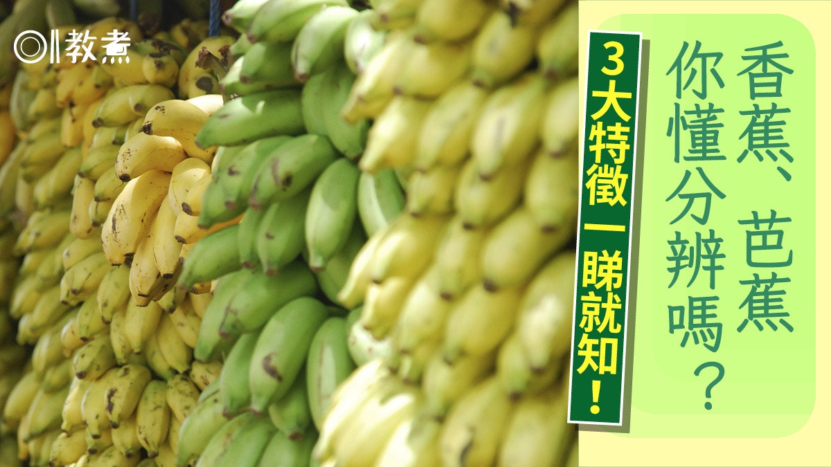 香蕉冷知識|寓意招財祭品常客 香蕉芭蕉大不同?3特徵教你分辨 香蕉冷知識|寓意招財祭品常客 香蕉芭蕉大不同?3特徵教你分辨