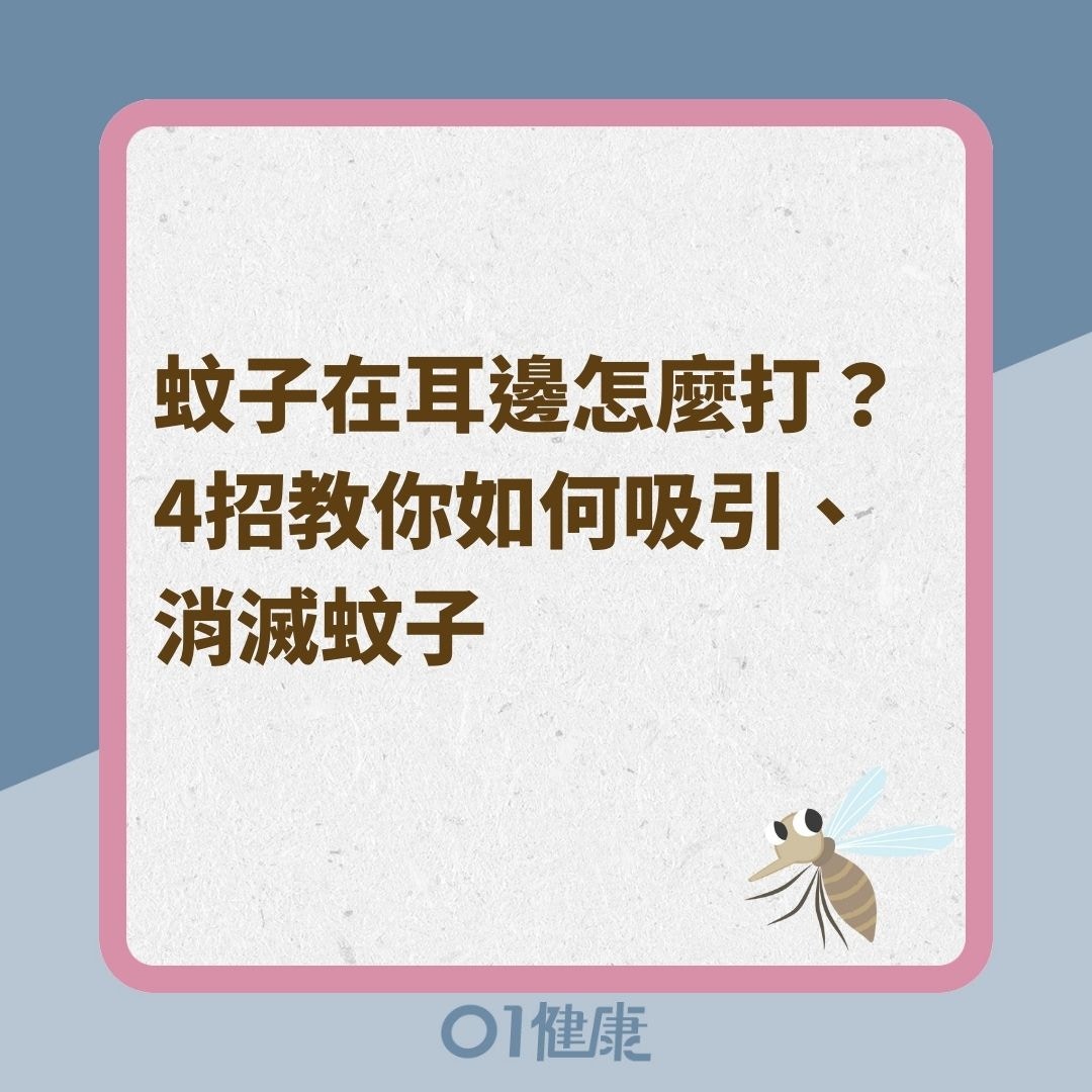 蚊子在耳邊怎麼打？4招教你如何吸引、消滅蚊子（01製圖）