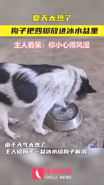 誰說冰水一定是拿來喝才消暑（抖音@辣椒新聞）