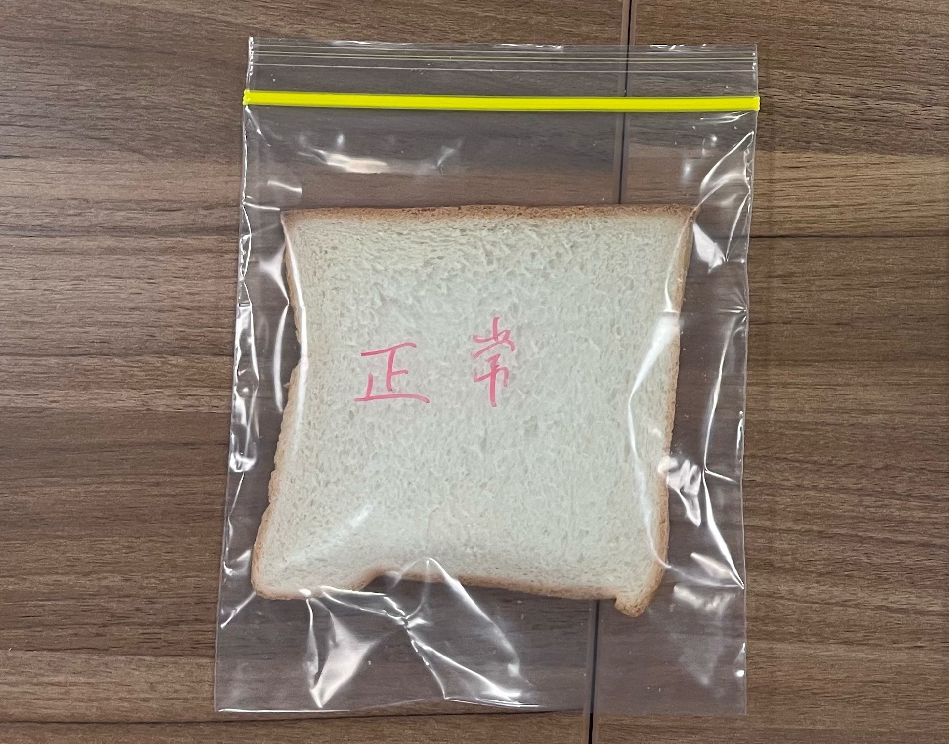 第一天對照組新鮮的麵包。(攝:古曦朗) 第一天對照組新鮮的麵包。(攝:古曦朗)