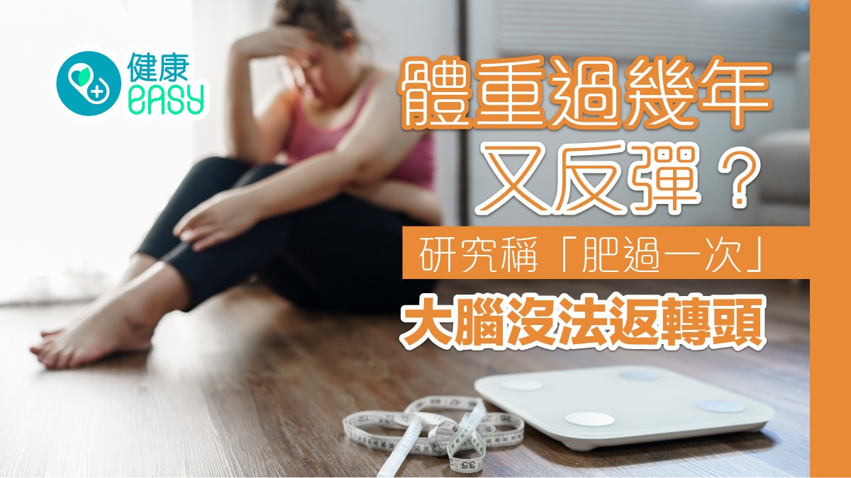 減肥|體重過幾年又反彈?研究稱「肥過一次」 大腦便沒法返轉頭 減肥|體重過幾年又反彈?研究稱「肥過一次」 大腦便沒法返轉頭