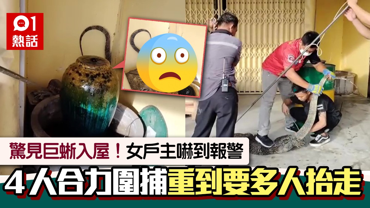 人咁大條！巨蜥闖民居嚇壞女戶主　4人合力捕獲　同村傳靈異事？