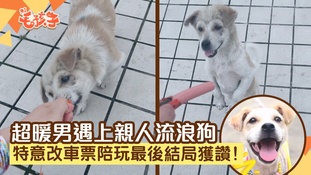 暖男遇上親人流浪狗 特意改車票時間陪玩 最後結局獲網民激讚 暖男遇上親人流浪狗 特意改車票時間陪玩 最後結局獲網民激讚