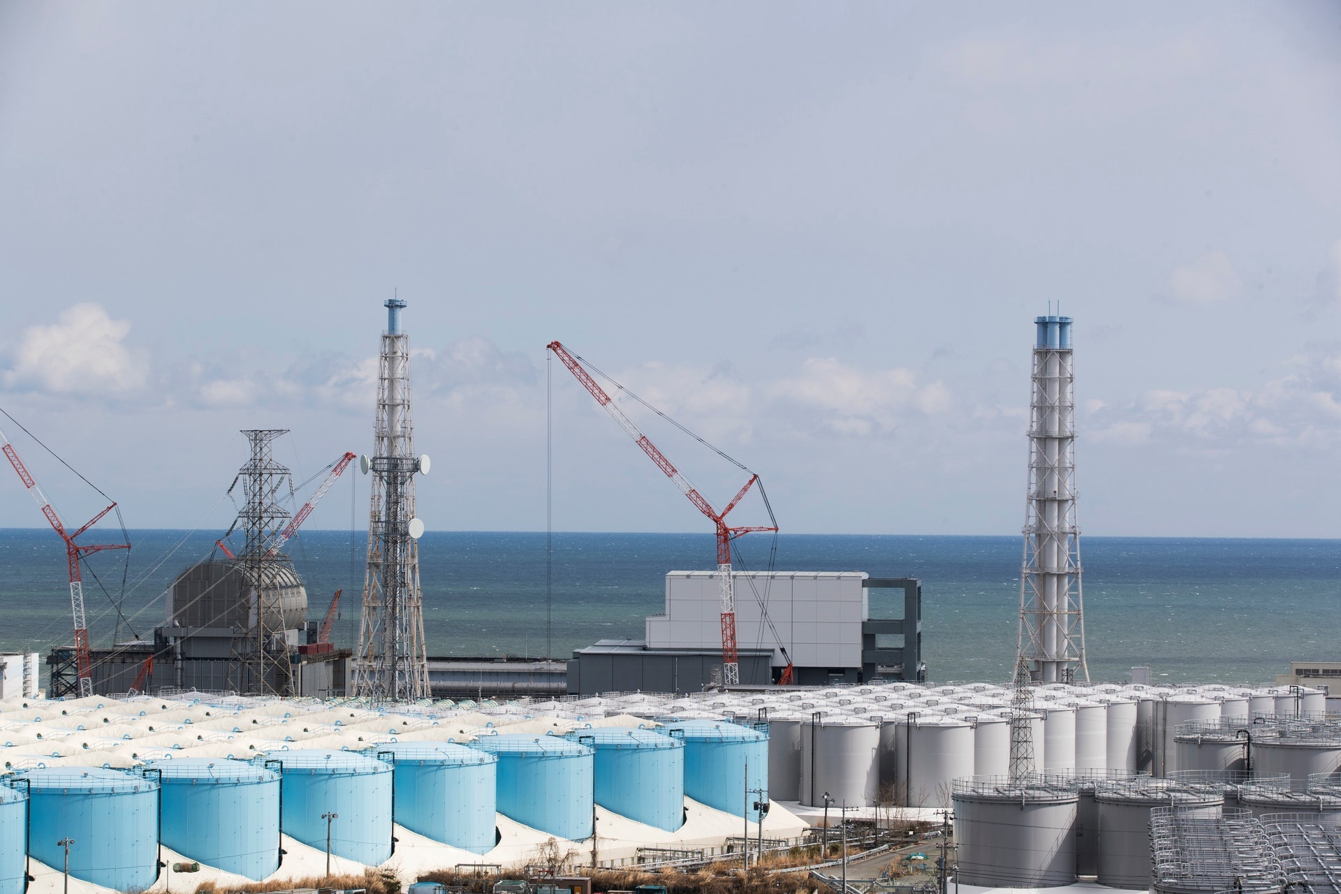 自日本公布會將福島核廢水排入大海,不少人都擔心日本進口雞蛋會受影響。(AP) 自日本公布會將福島核廢水排入大海,不少人都擔心日本進口雞蛋會受影響。(AP)