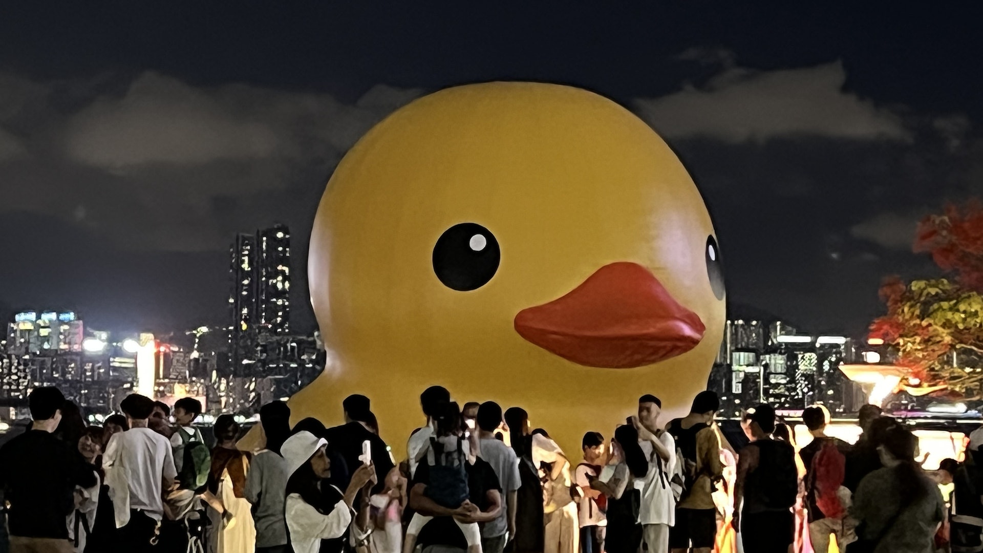 黃鴨|形單隻影仍吸市民打卡 有人連續兩次到訪均無兩鴨同場 黃鴨|形單隻影仍吸市民打卡 有人連續兩次到訪均無兩鴨同場