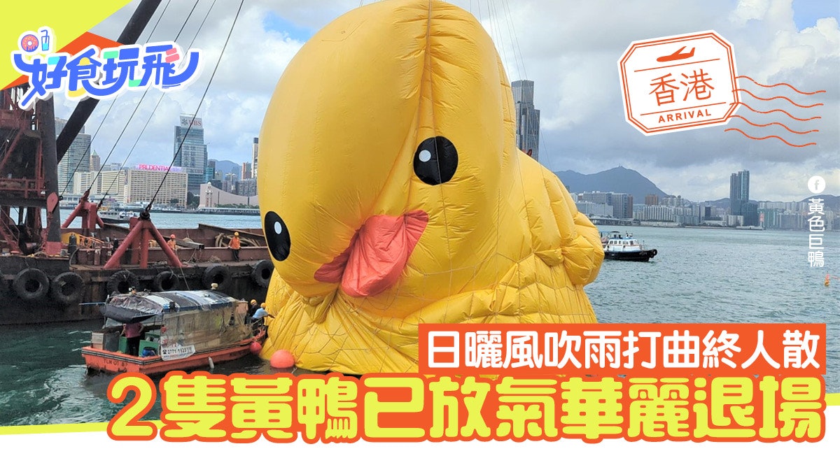 黃鴨香港2023|父親節1隻鴨謝幕撤退+24港鐵站打卡位維持(多相) 黃鴨香港2023|父親節1隻鴨謝幕撤退+24港鐵站打卡位維持(多相)