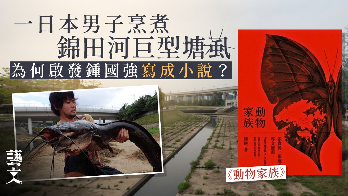 鍾逆《動物家族》以塘虱、螢火蟲——記念那遠去的年代|開卷樂 鍾逆《動物家族》以塘虱、螢火蟲——記念那遠去的年代|開卷樂