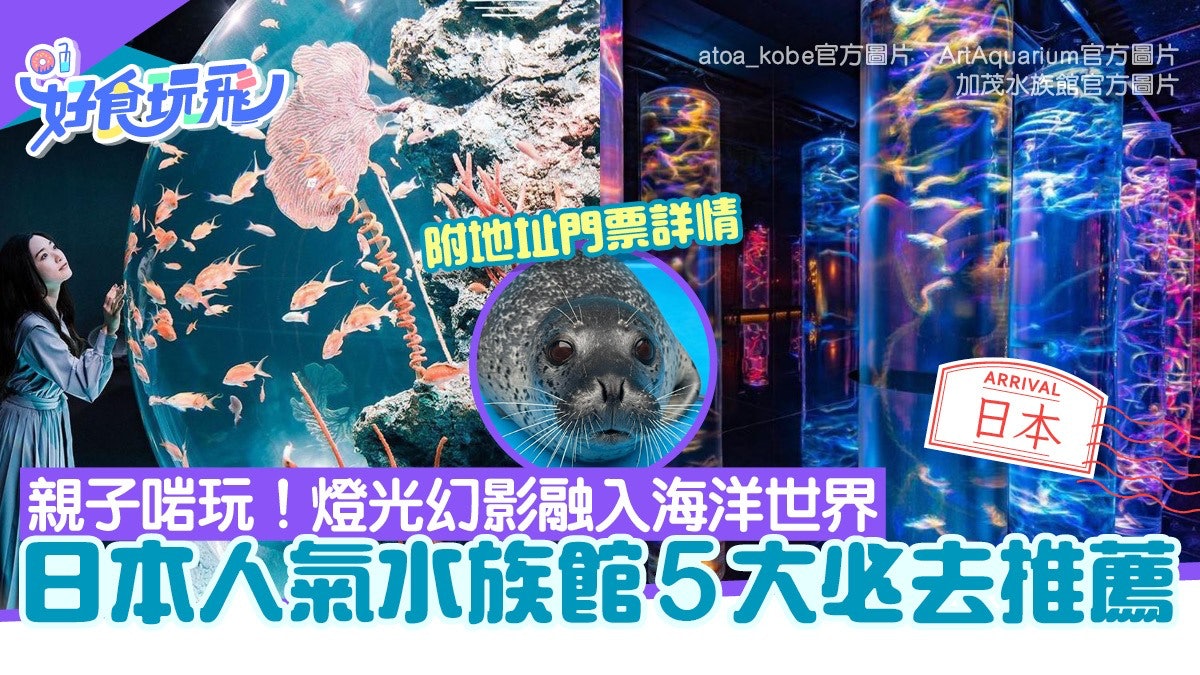 日本旅遊｜人氣水族館打卡5大推介燈影海洋世界附地址門票詳情