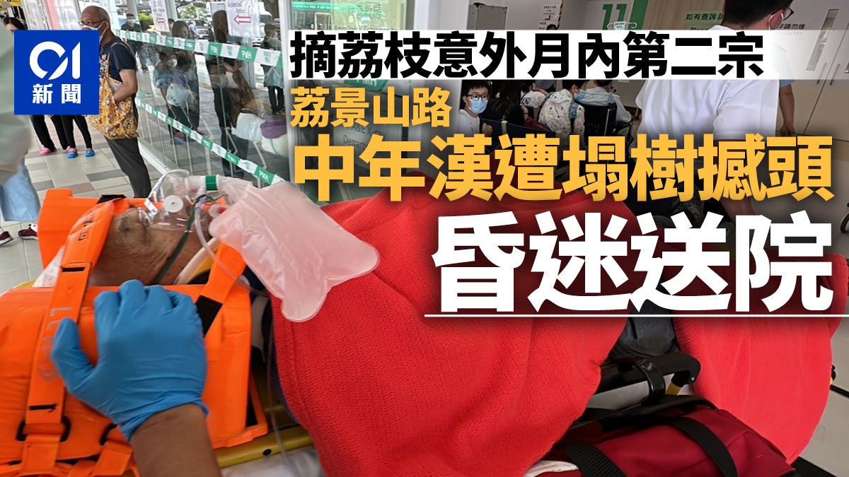 月內第二宗摘荔枝意外 中年漢被塌樹撞傷頭部 昏迷送院 月內第二宗摘荔枝意外 中年漢被塌樹撞傷頭部 昏迷送院