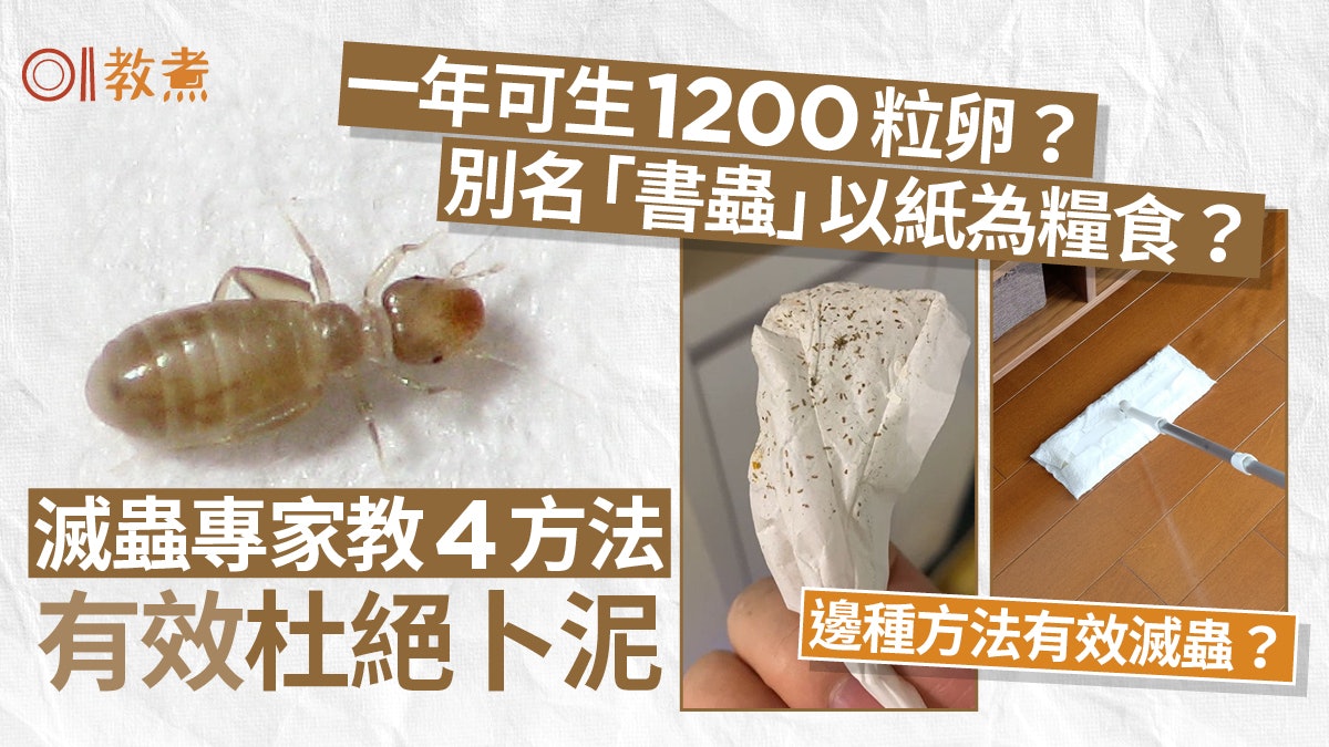卜泥解決|食霉菌真菌一隻年產1200粒卵 專家教4招杜絕預防卜泥 卜泥解決|食霉菌真菌一隻年產1200粒卵 專家教4招杜絕預防卜泥